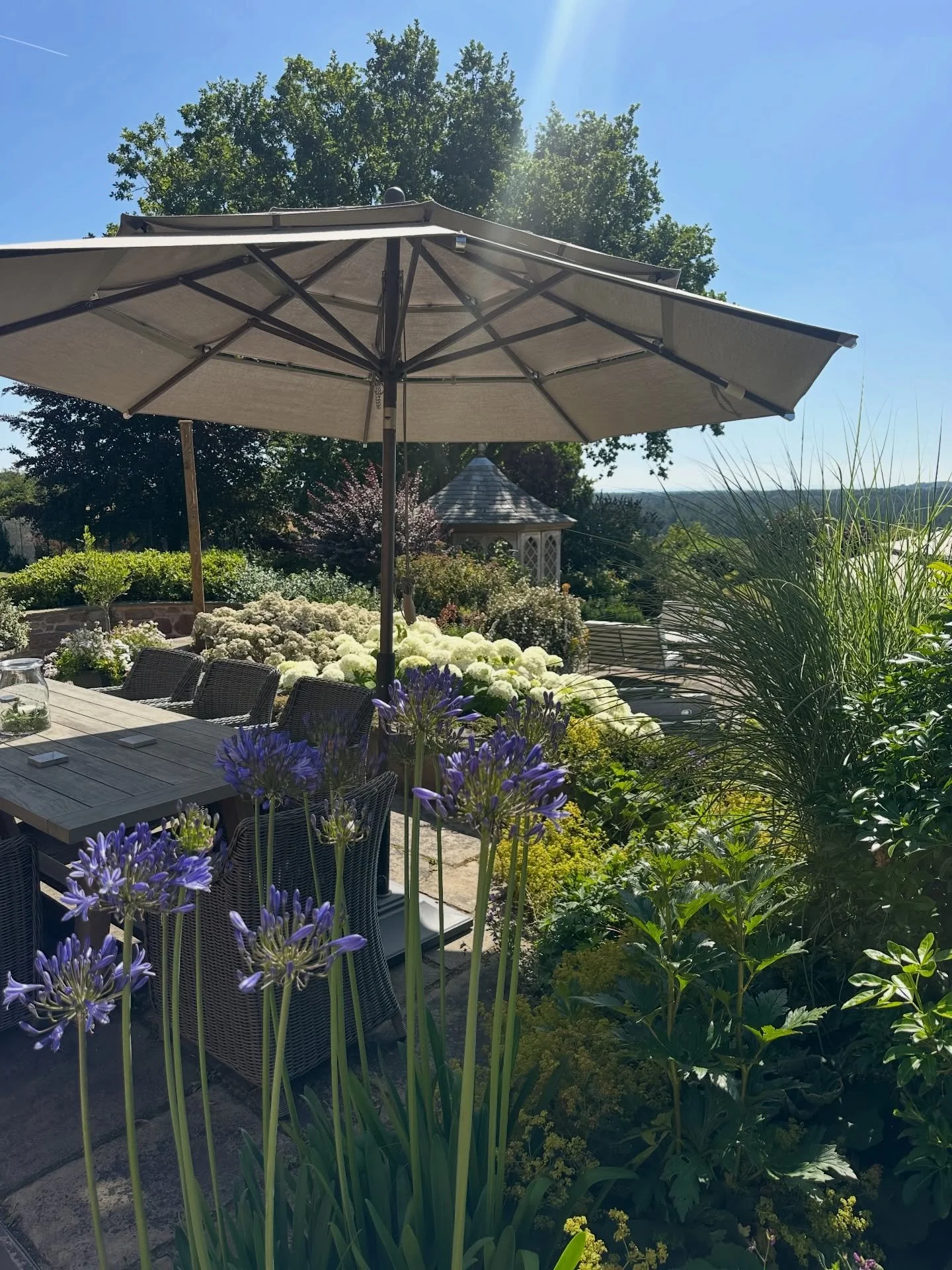 Summer Dreaming #englishhome #summergarden #garden #homeandgarden