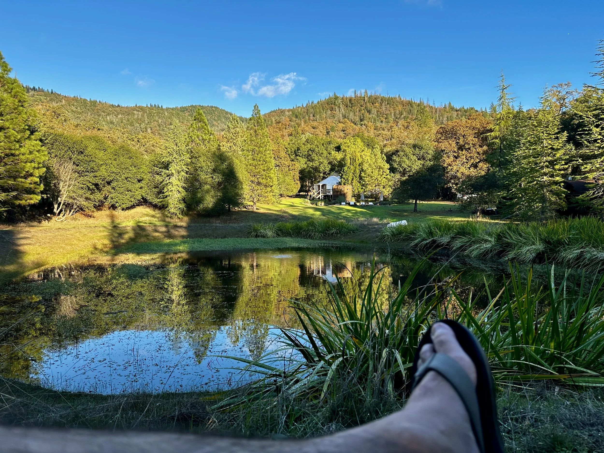 A person relaxing outside near a pond with trees and a small house in a hilly forested area under a blue sky.