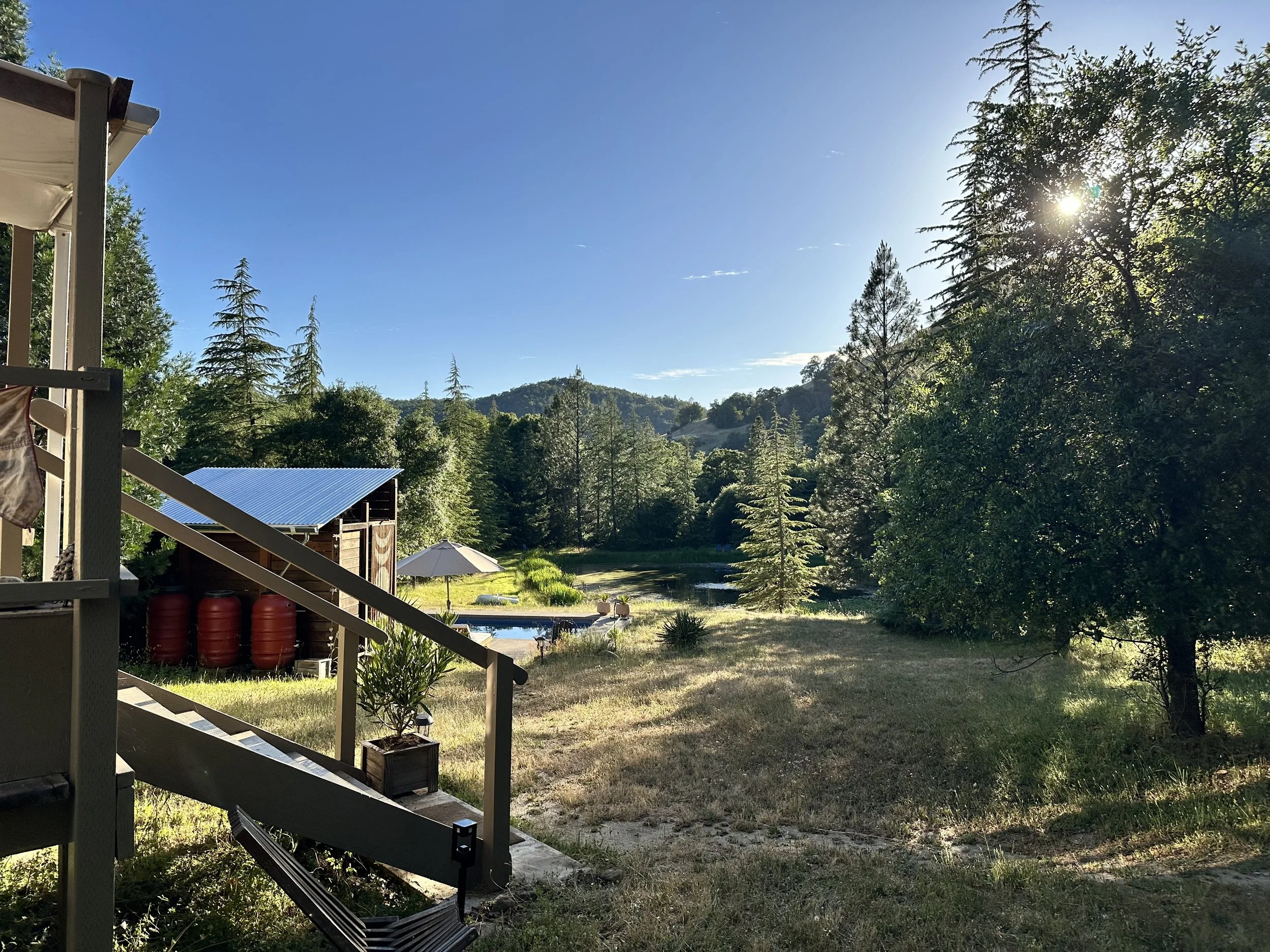View of a backyard with trees, a small pond, and hills in the distance, sunlight filtering through the trees, with part of a wooden deck and an umbrella visible.