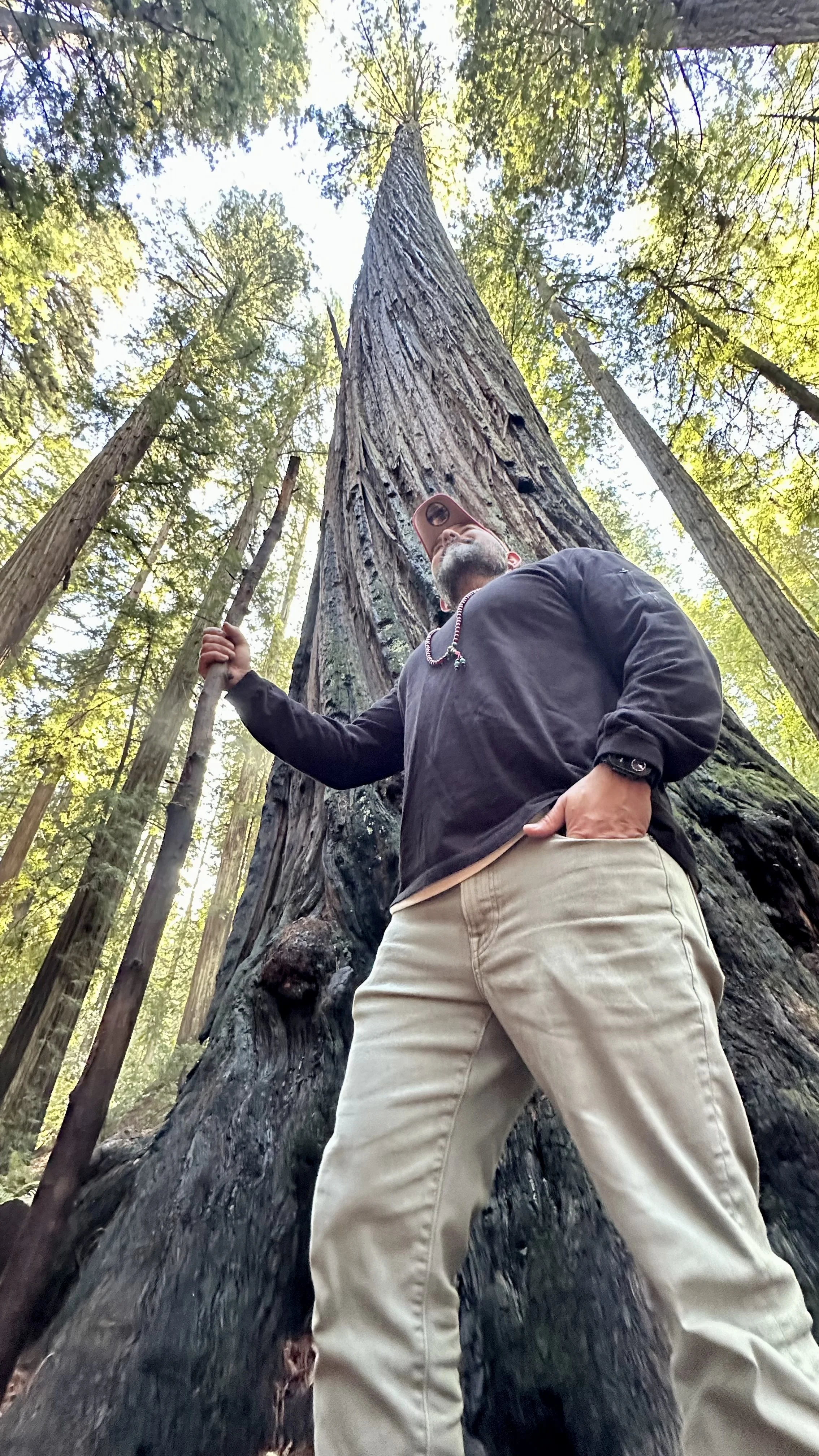 A man with a beard wearing a cap, black jacket, and beige pants stands in a forest with tall redwood trees. He holds a walking stick in his right hand and looks up at the towering trees above.