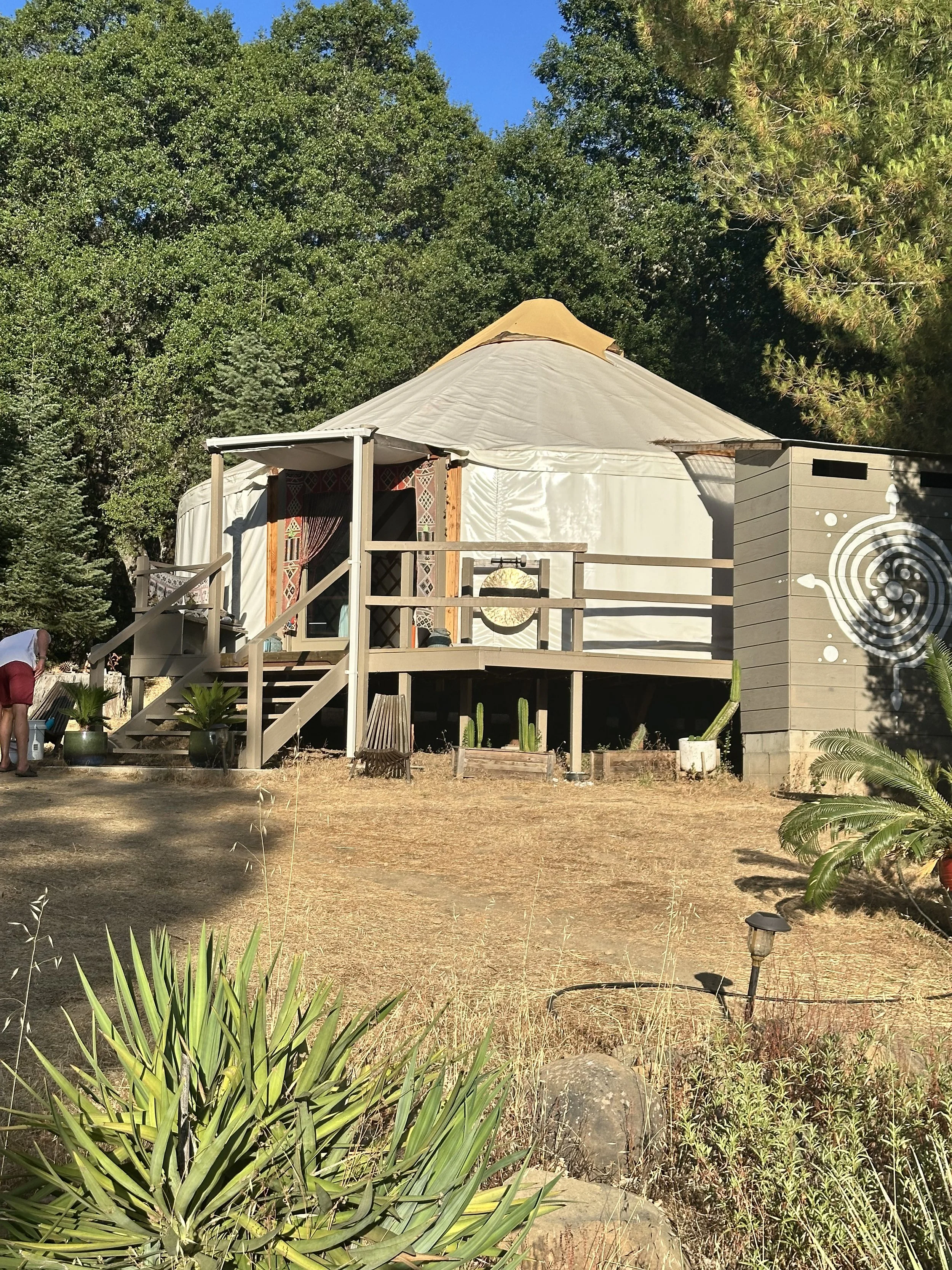A yurt-style tent with a beige roof and white fabric walls, surrounded by trees and plants in a natural outdoor setting.