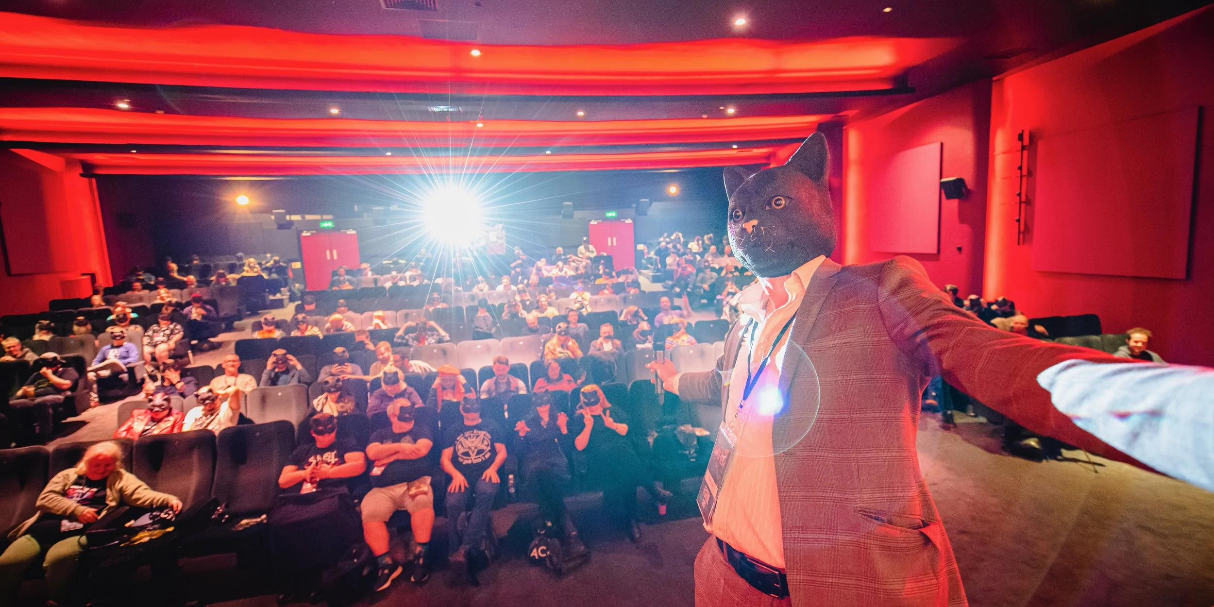 Night of the Cat, Mayhem 2022