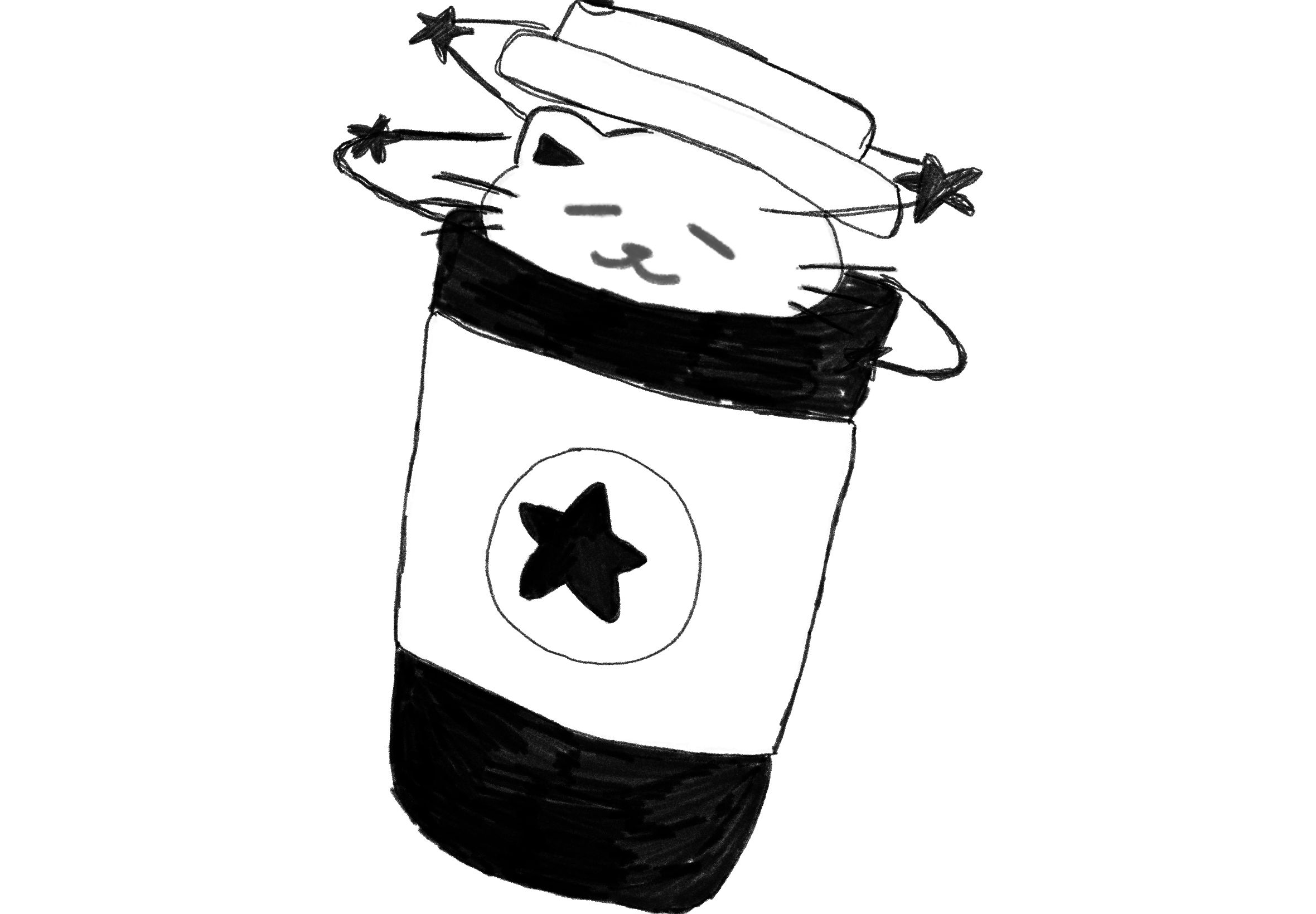 Black and white drawing of a cat's face with closed eyes, a small triangular nose, and whiskers, inside a box with a star symbol on it.