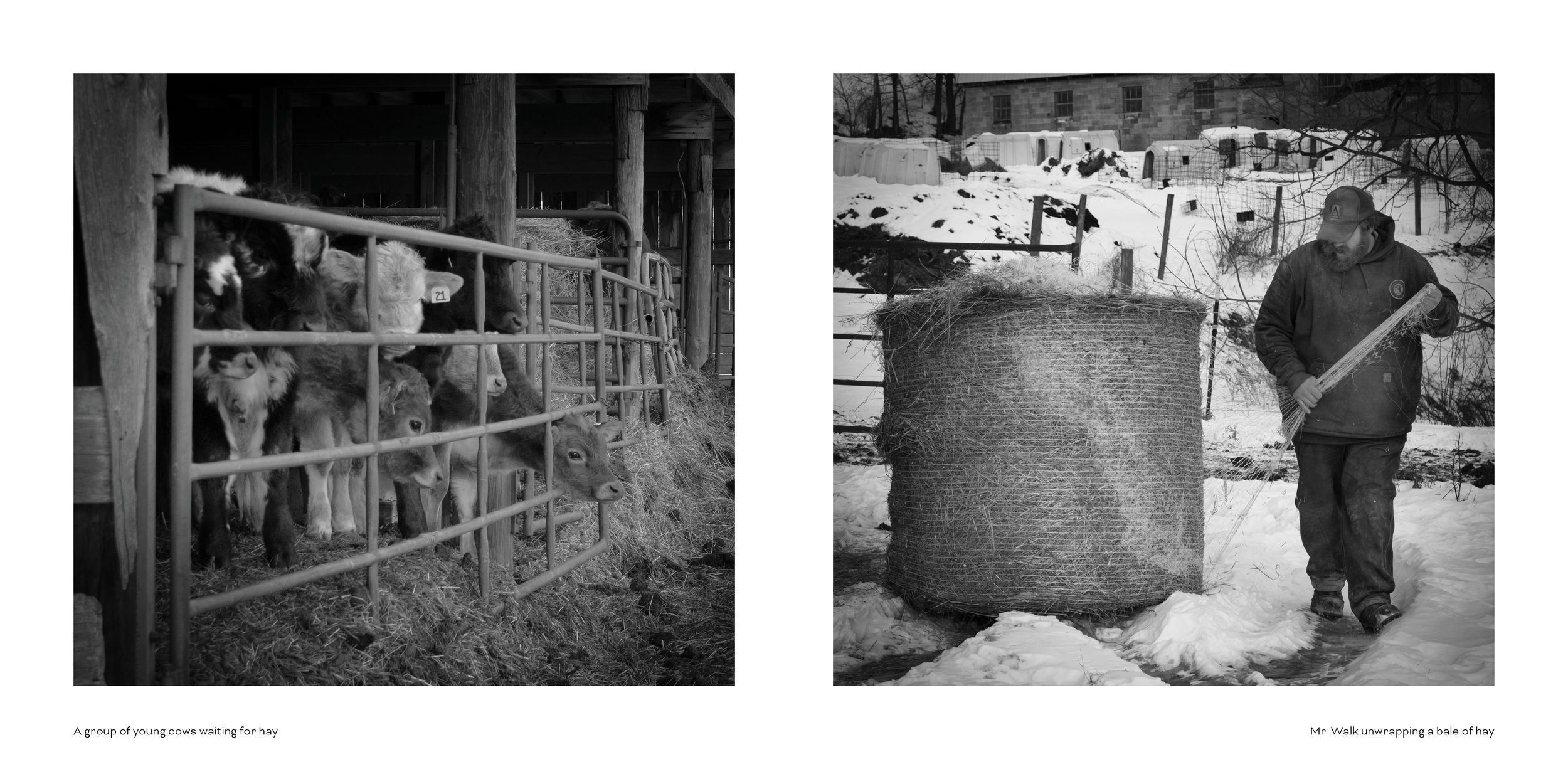 Photo Book Comp 27.png