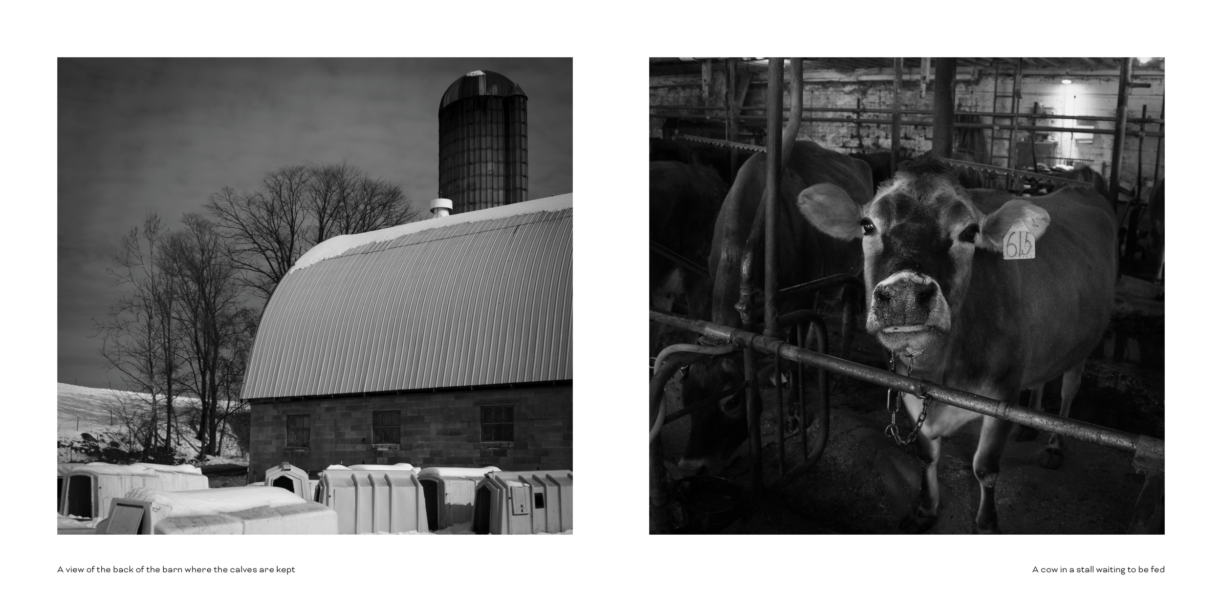 Photo Book Comp 23.png