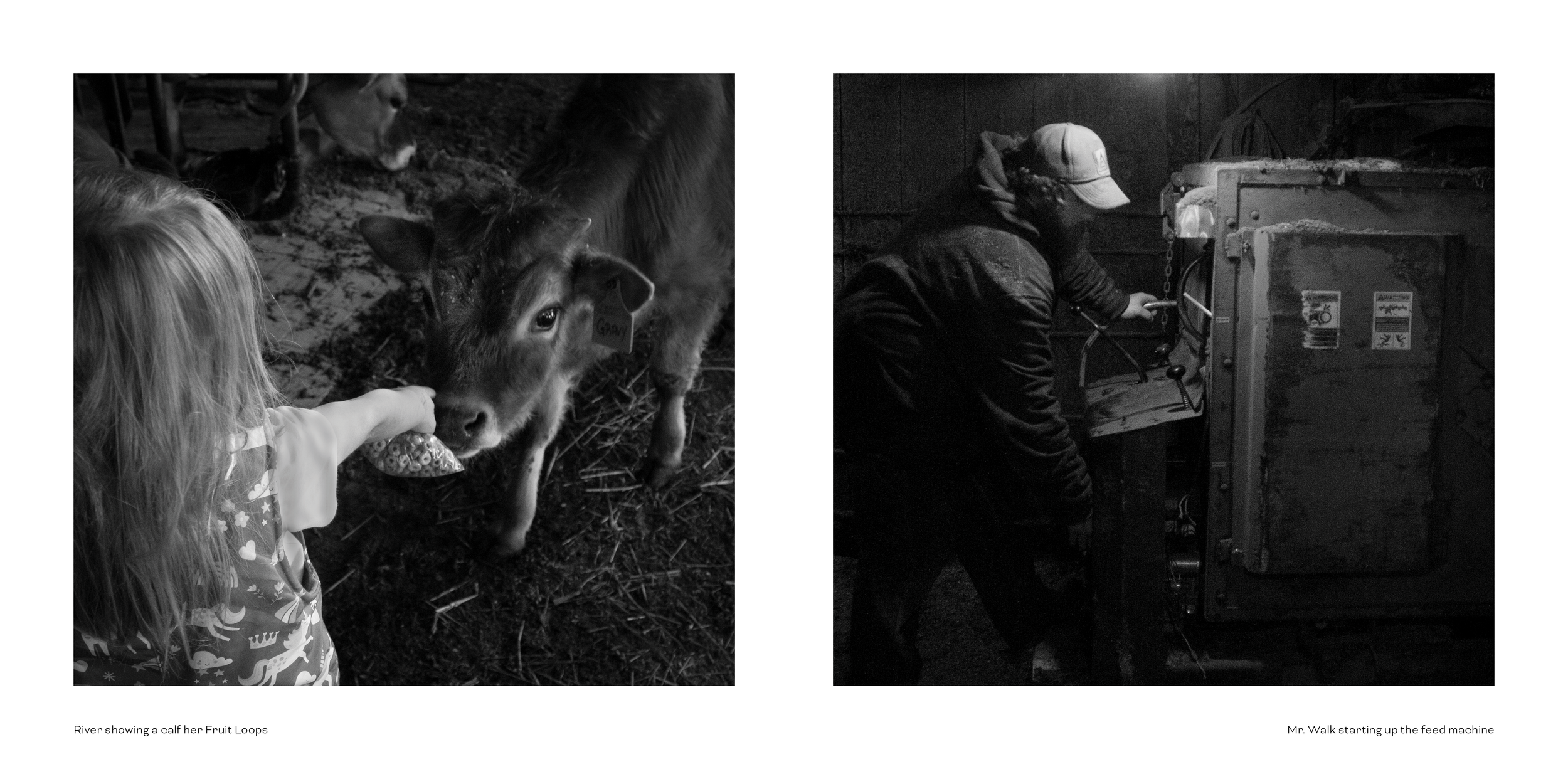 Photo Book Comp 24.png