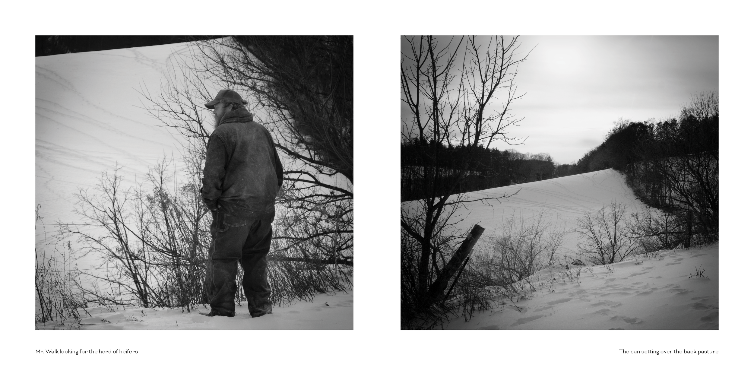 Photo Book Comp 28.png