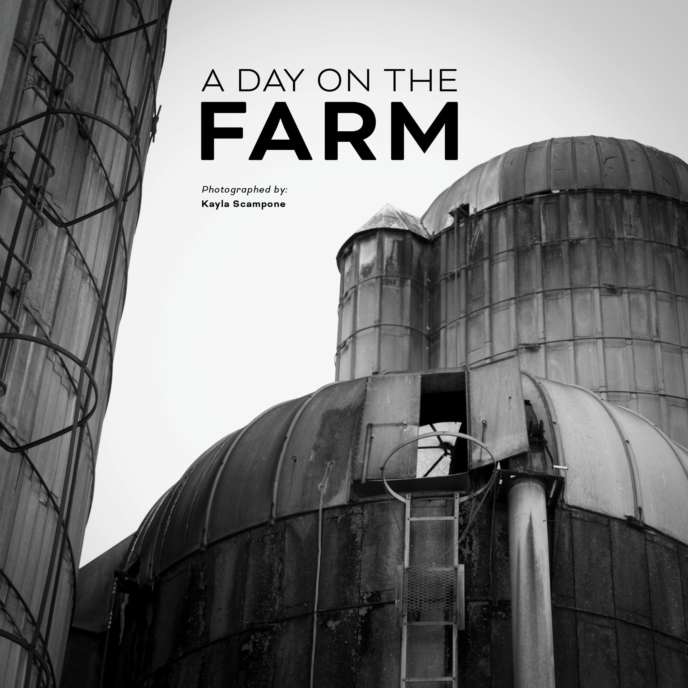 Photo Book Comp 2.png