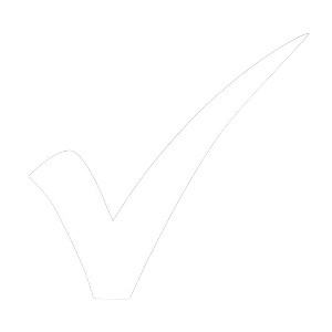 White check mark symbol