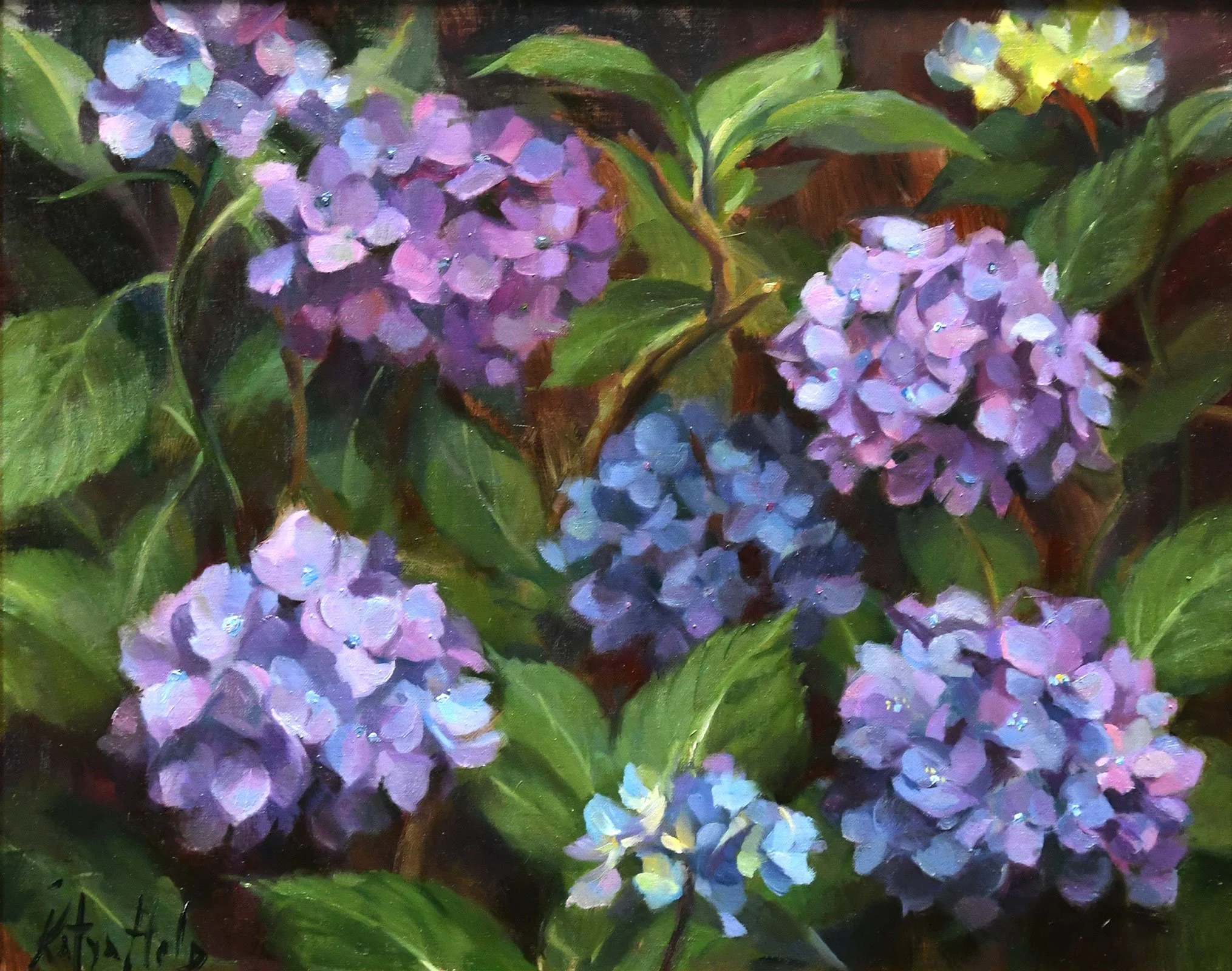 Hydrangeas Under My Window. 2022
Oil on linen
16 x 20 in (40.6 x 50.8 cm)