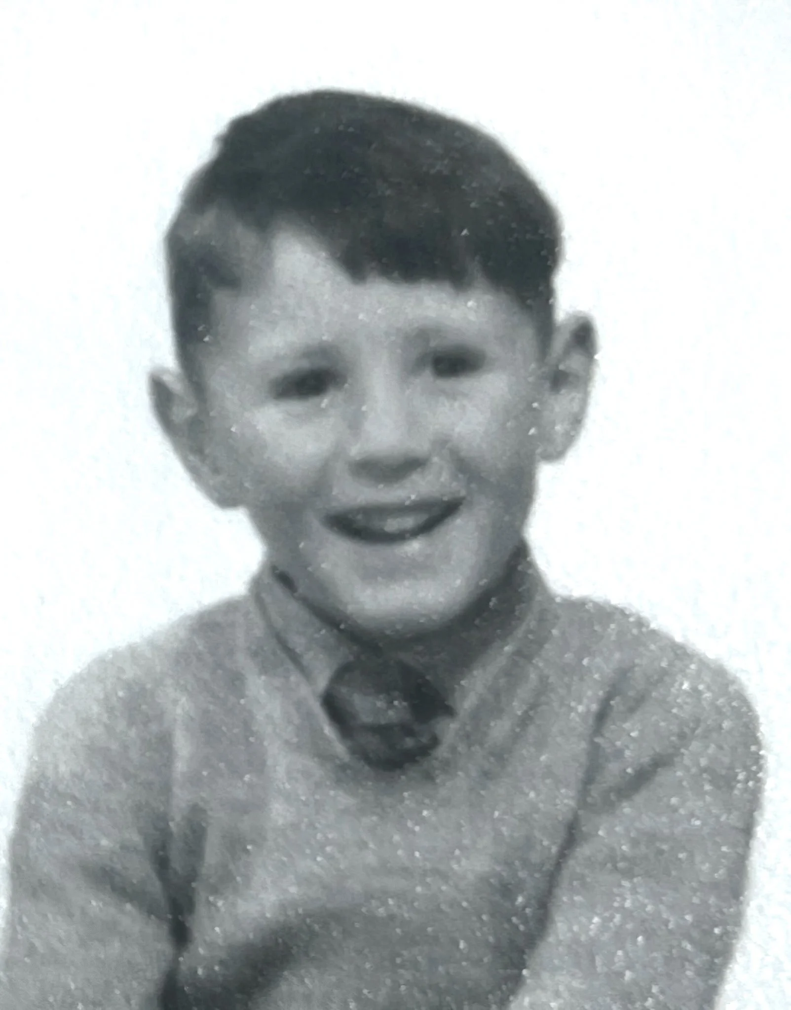 Headshot of smiling male tutor with medium-length black hair wearing a lanyard.