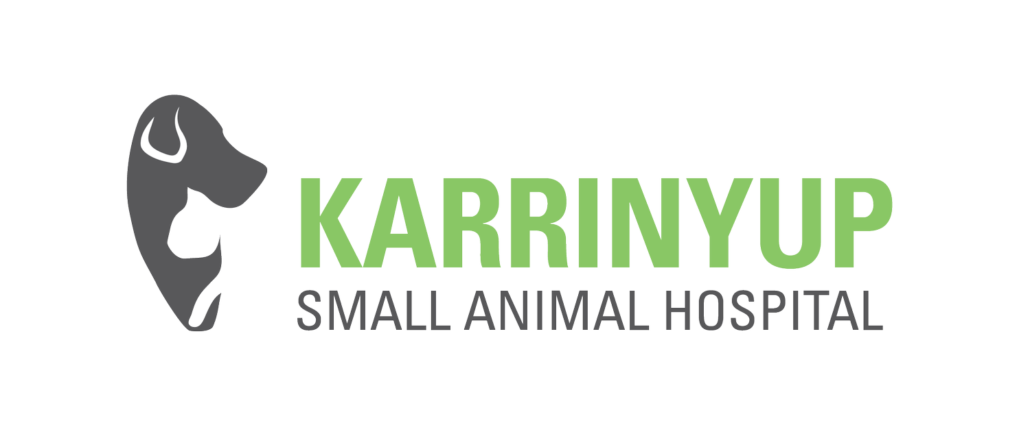 Karrinyup Small Animal Hospital