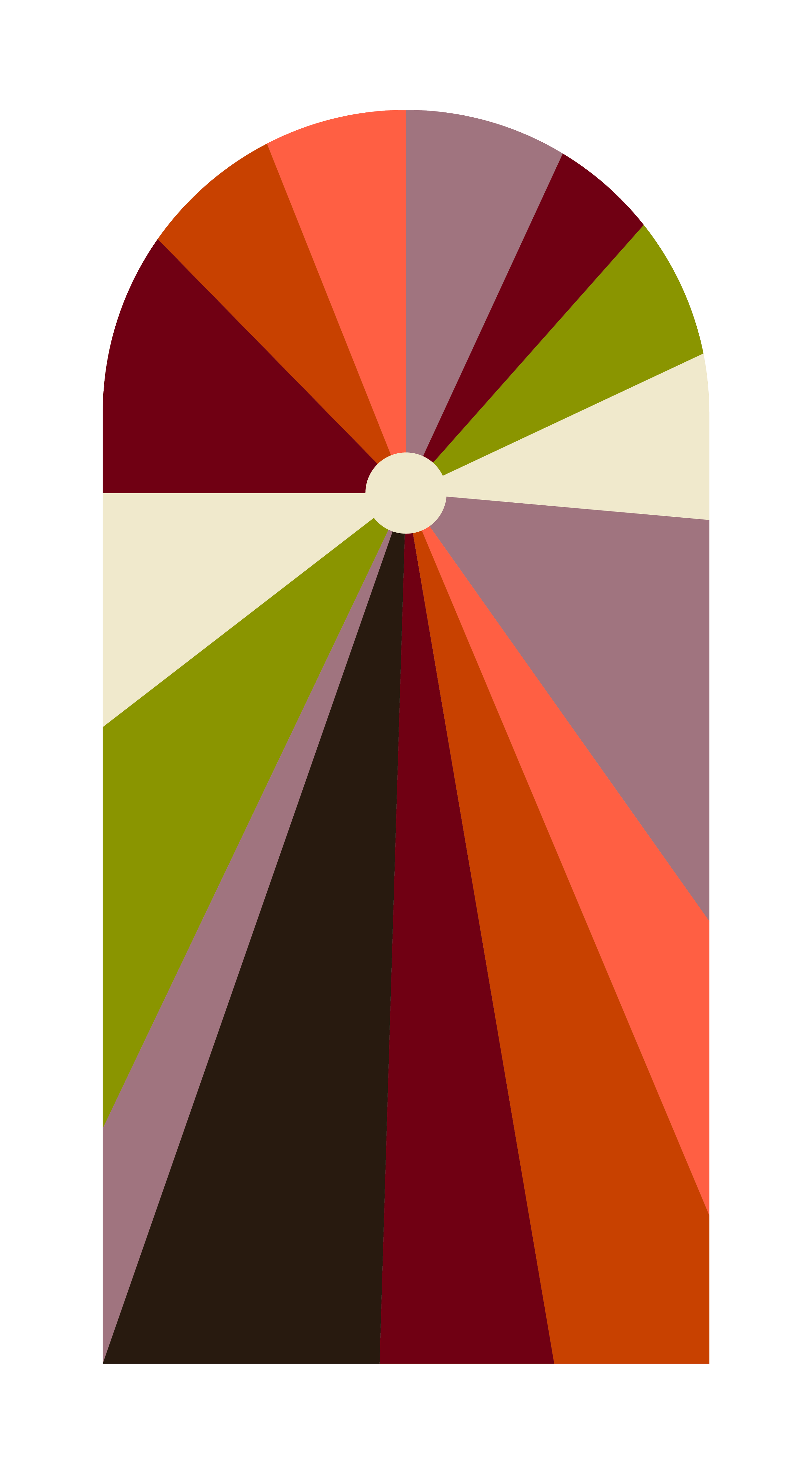 Un graphique circulaire coloré avec des segments dans des tons de rouge, orange, vert, beige, marron et violet.