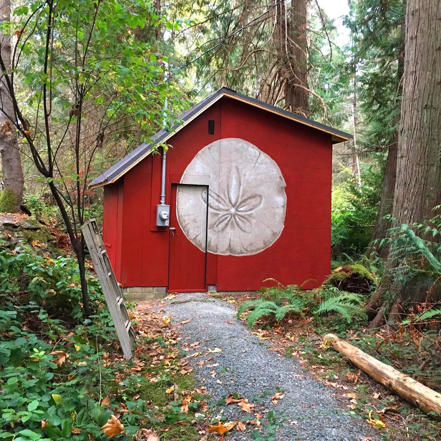 Cabane en bois rouge dans une forêt avec un dessin blanc d'une tranche de citron ou de lime sur la façade.