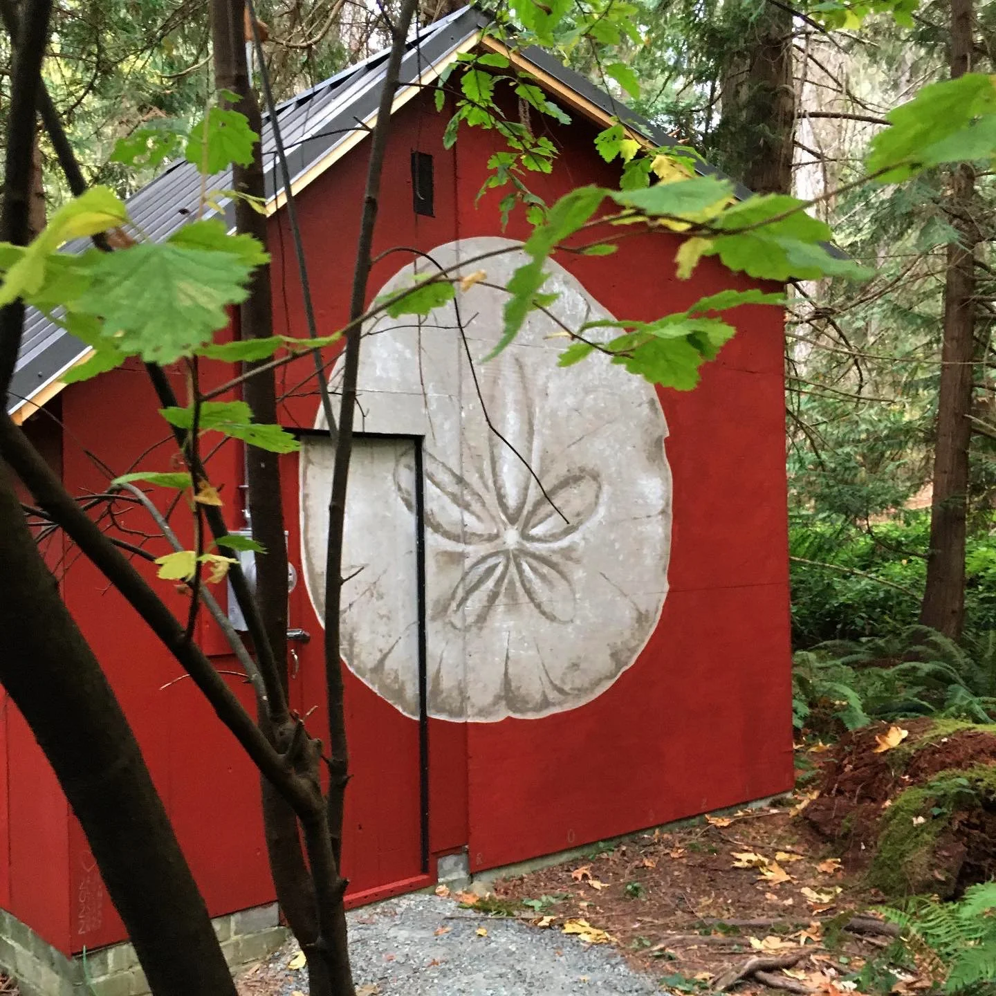 Cabane en bois rouge avec un emblème de feuille d'érable, dans un environnement forestier.