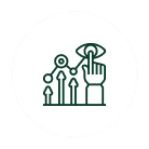 Vision Icon