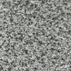 Close-up of a textured gray surface, possibly carpet or fabric.