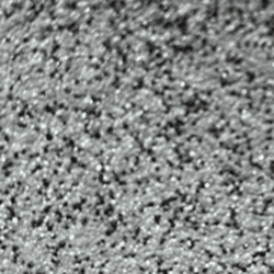 Close-up of a textured gray surface, possibly concrete or gravel.