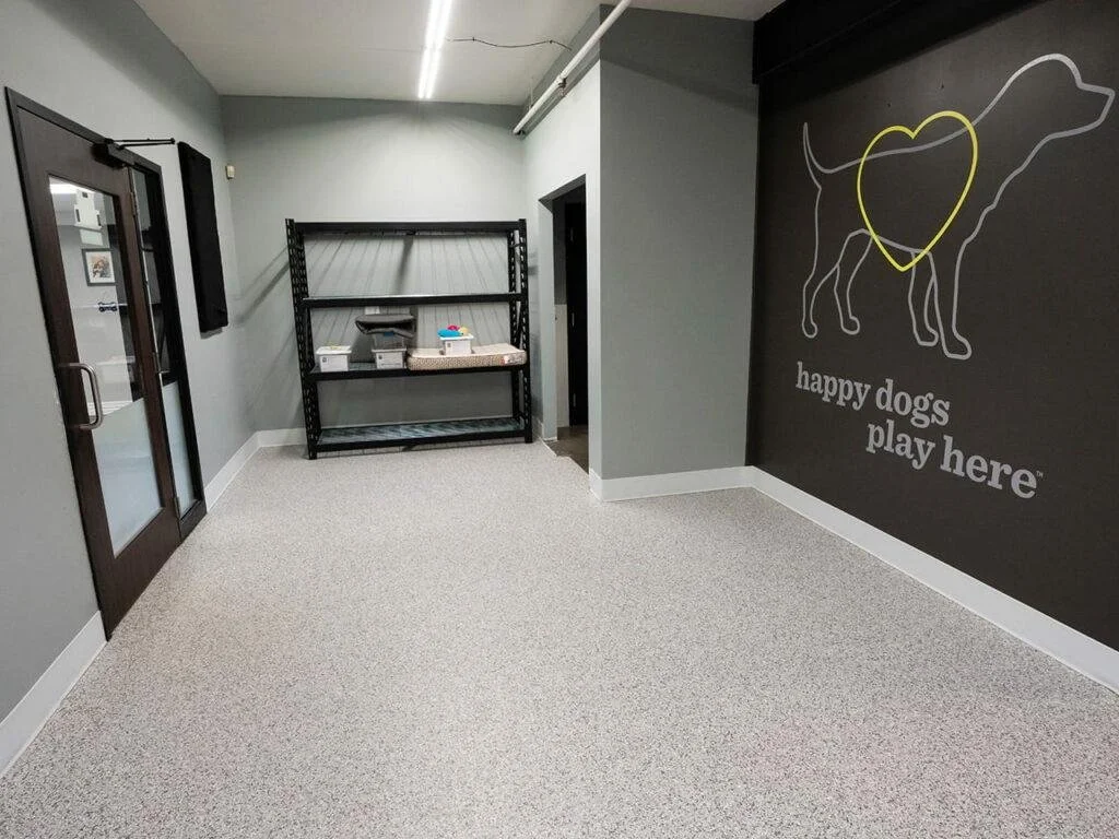 A dog play area with a black wall featuring a dog outline with a yellow heart, and the text "happy dogs play here." There is a black metal shelf with some items and a glass door leading outside or into another room.