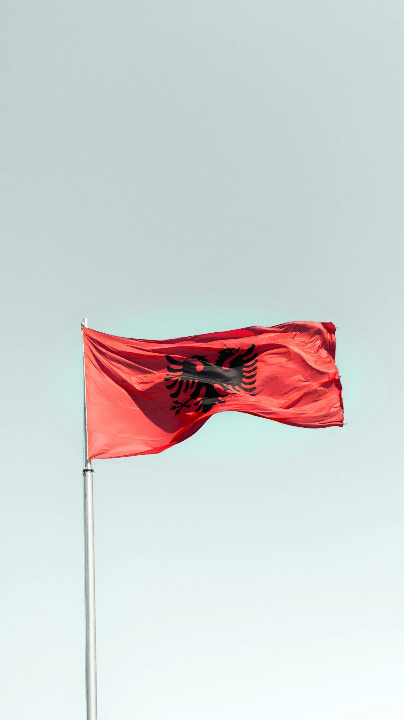 Moving to Albania with children: Understanding your options for choosing the right school