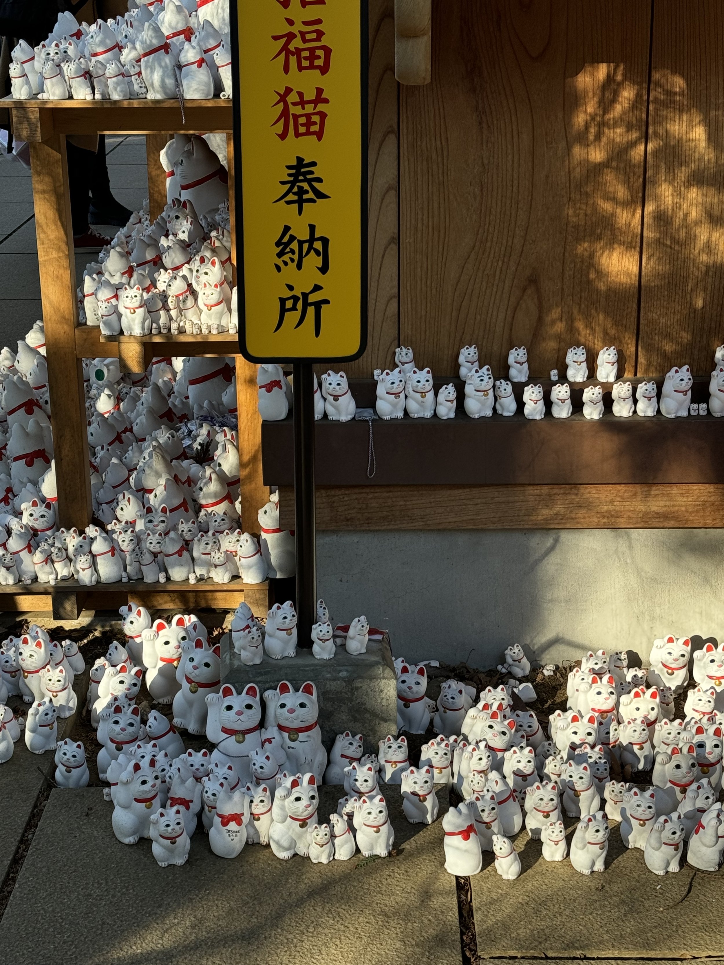  Maneki Neko tales