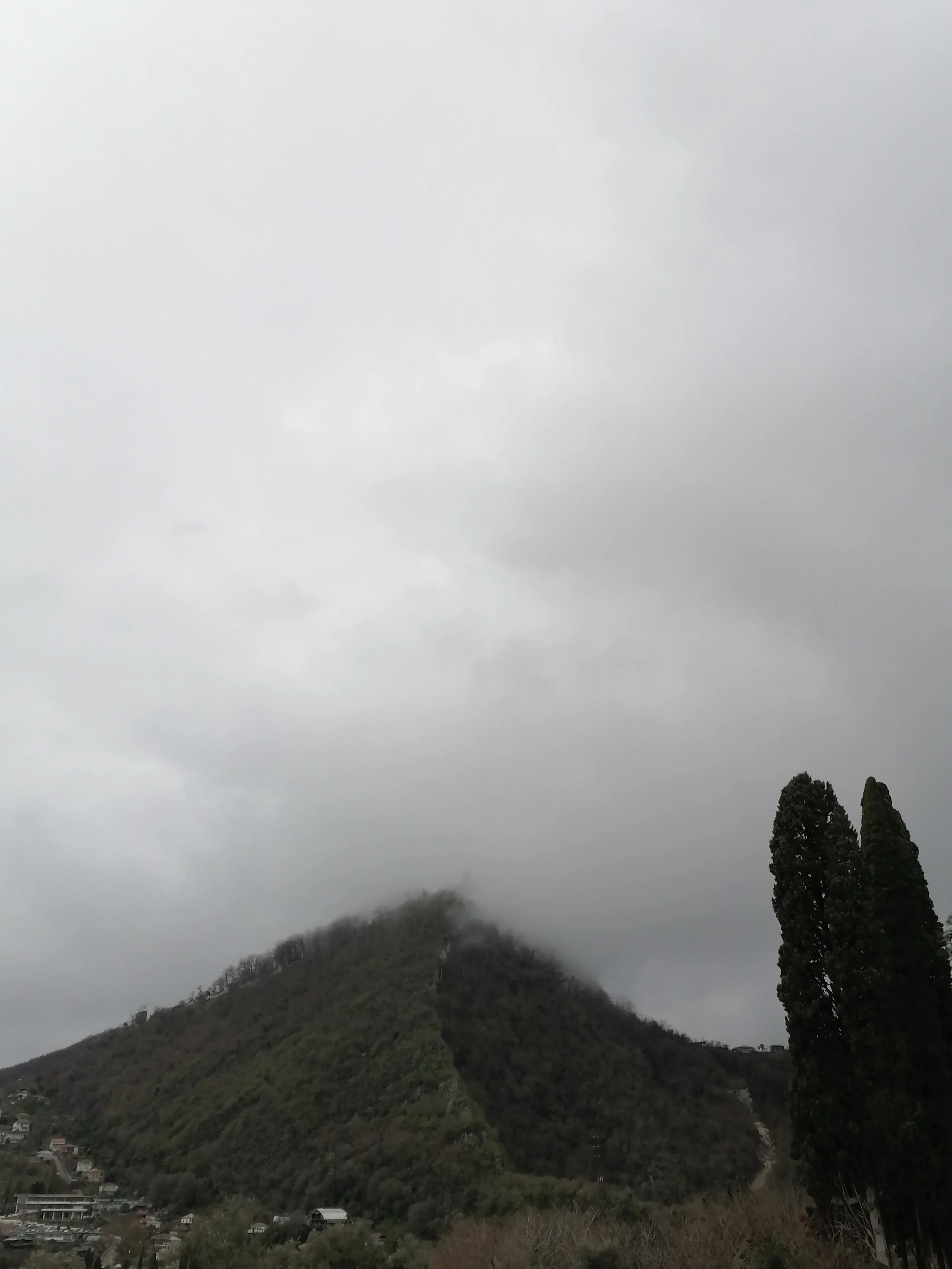 Fog of Promise