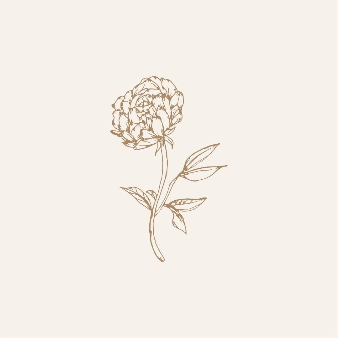 Dessin d'une fleur de pivoine en ligne simple, couleur marron claire, sur fond beige.
