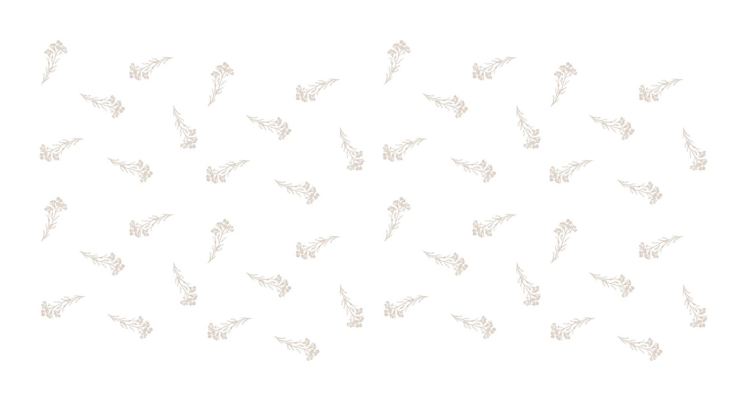 Motif de petites fleurs blanches sur un fond noir