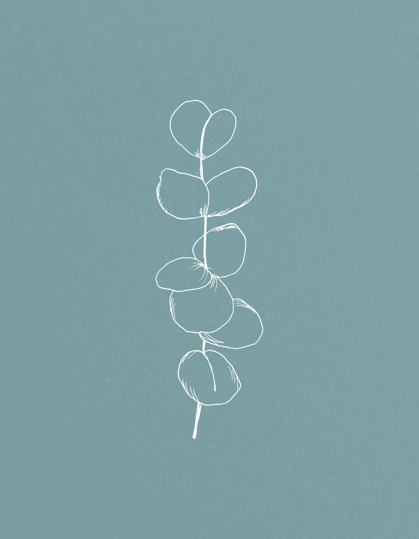 Une illustration minimaliste d'une branche de eucalyptus, dessinée en lignes blanches sur fond bleu clair.
