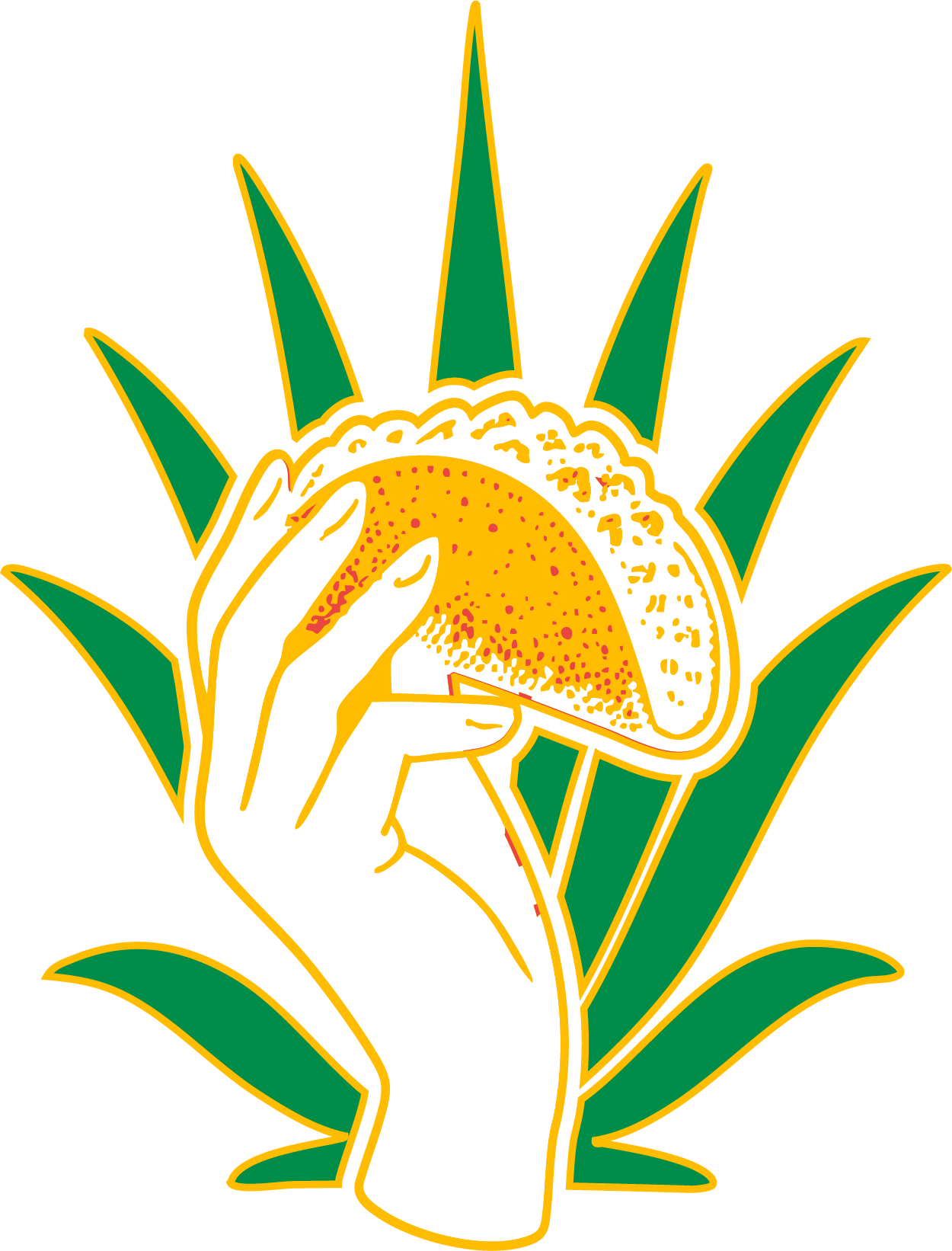 A stylized graphic of a hand holding a sliced orange, surrounded by green leaves and golden outlines.