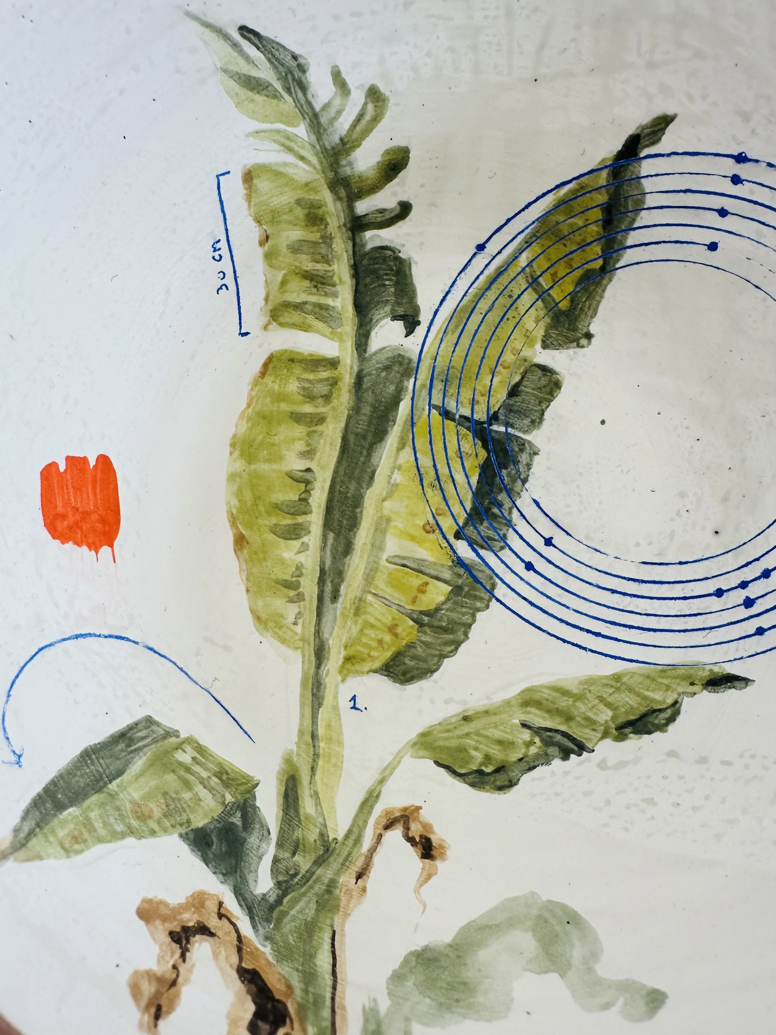 Lana Schneider ceramic