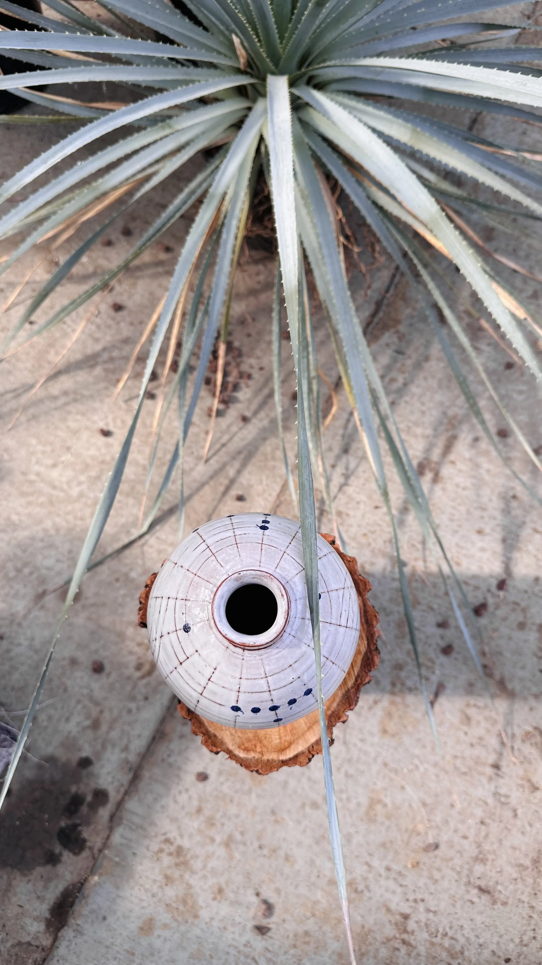 Lana_Schneider_cermamic vase