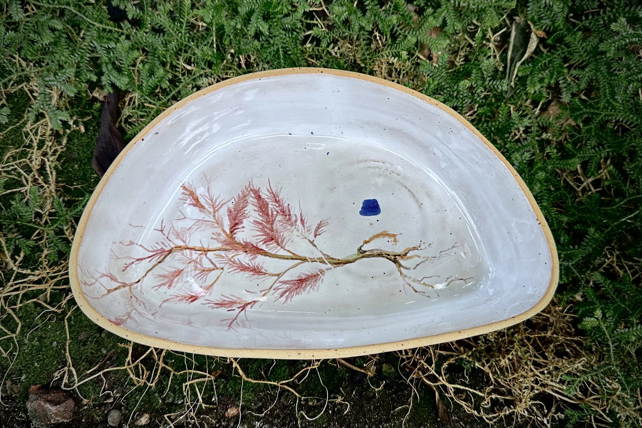Lana Schneider ceramic plate