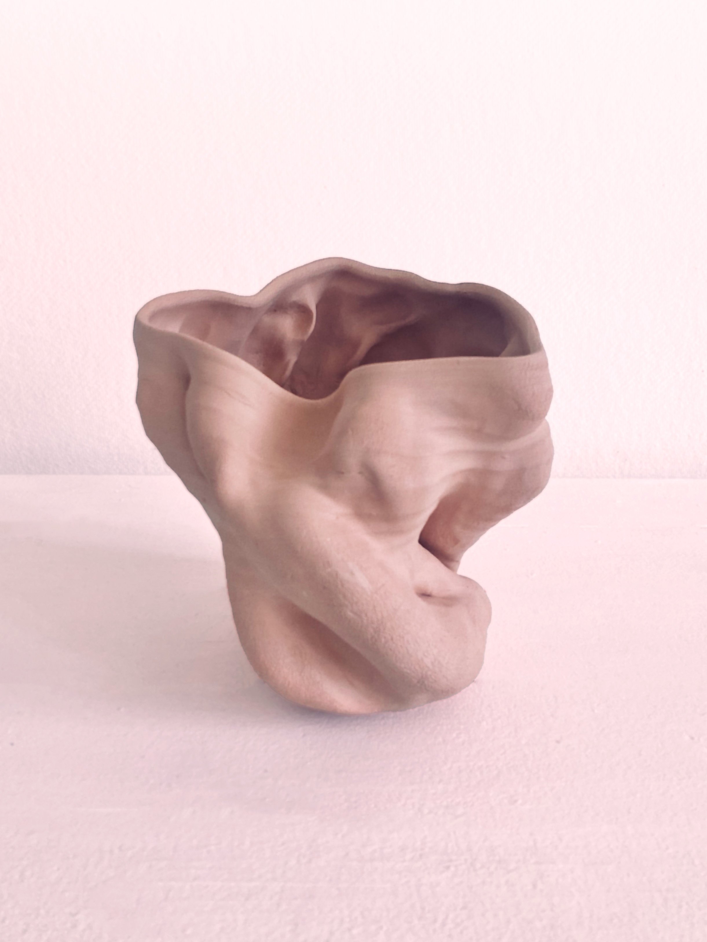Lana Schneider ceramic vase