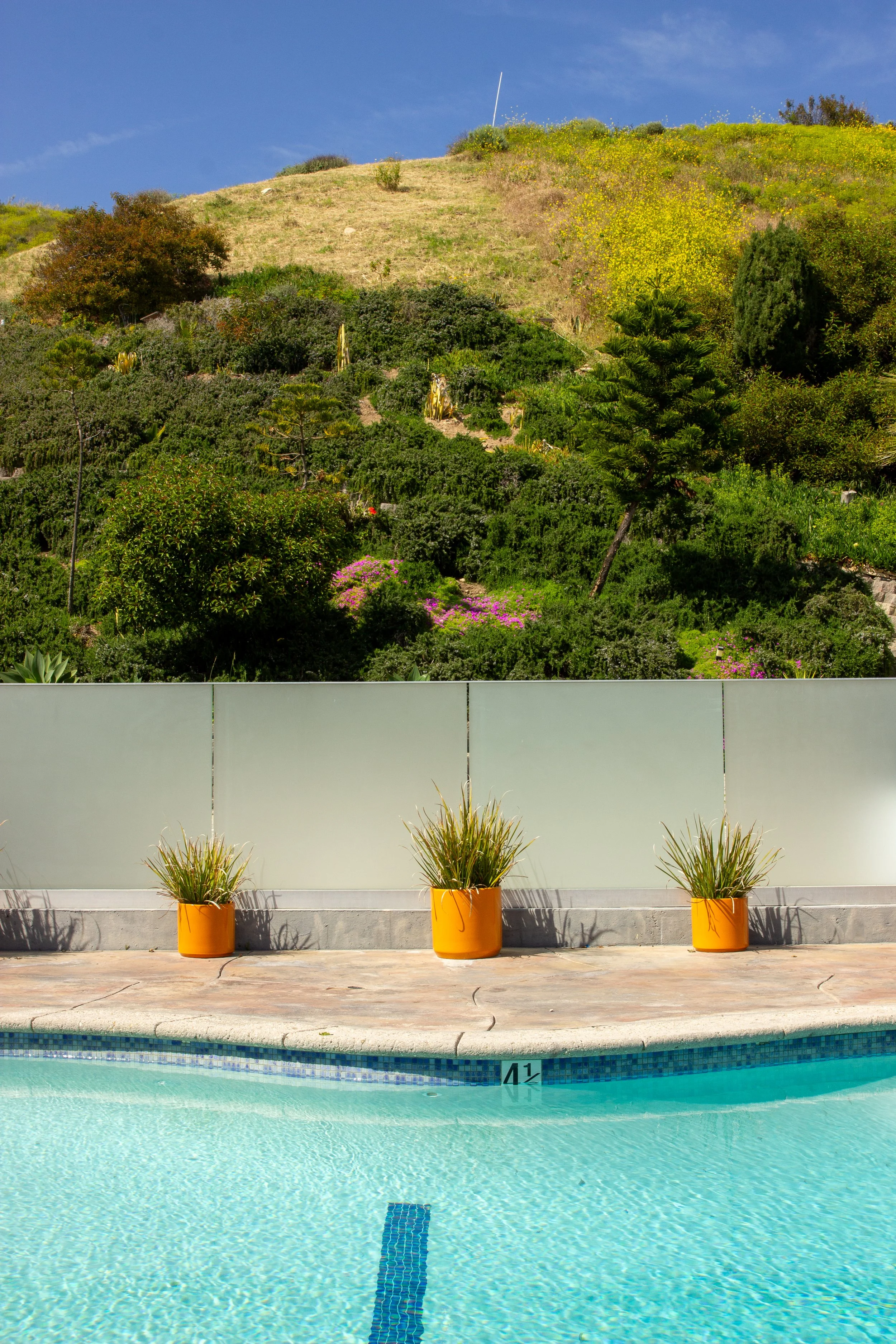 The Only Hotel in Malibu with a Pool (Yes, Really)