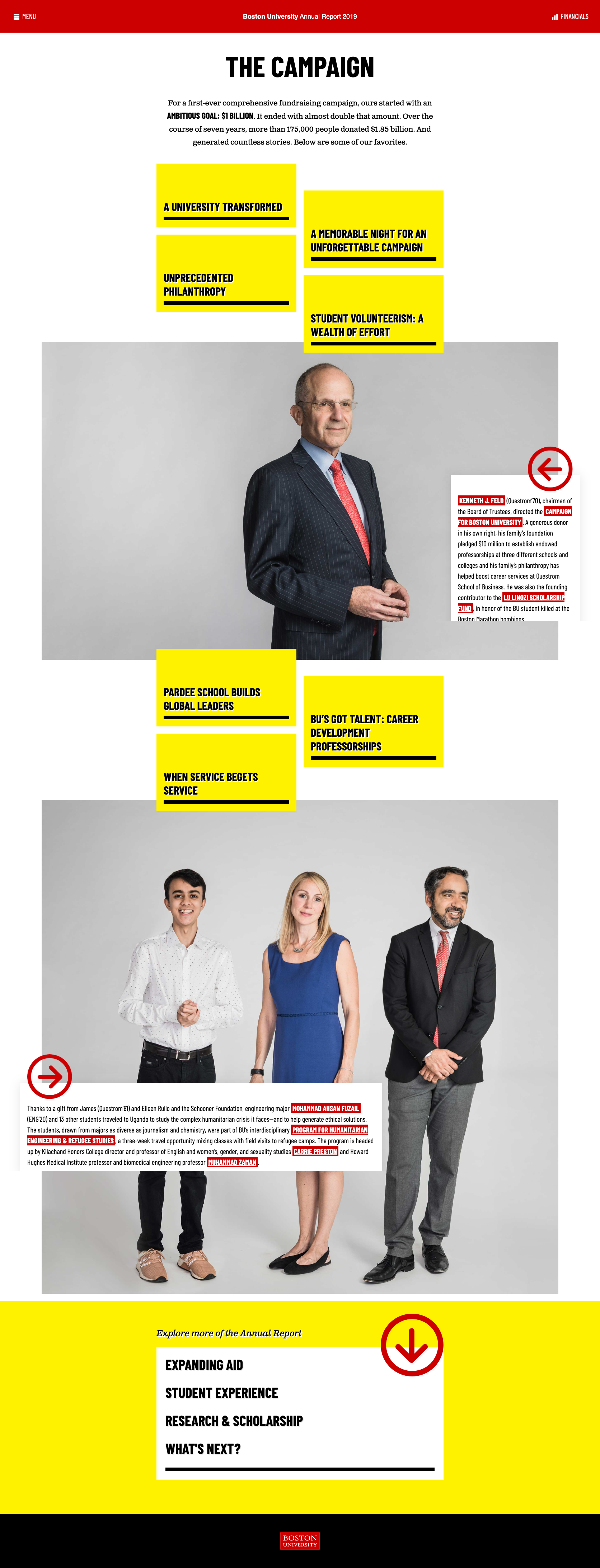 Campaign page of the annual report website