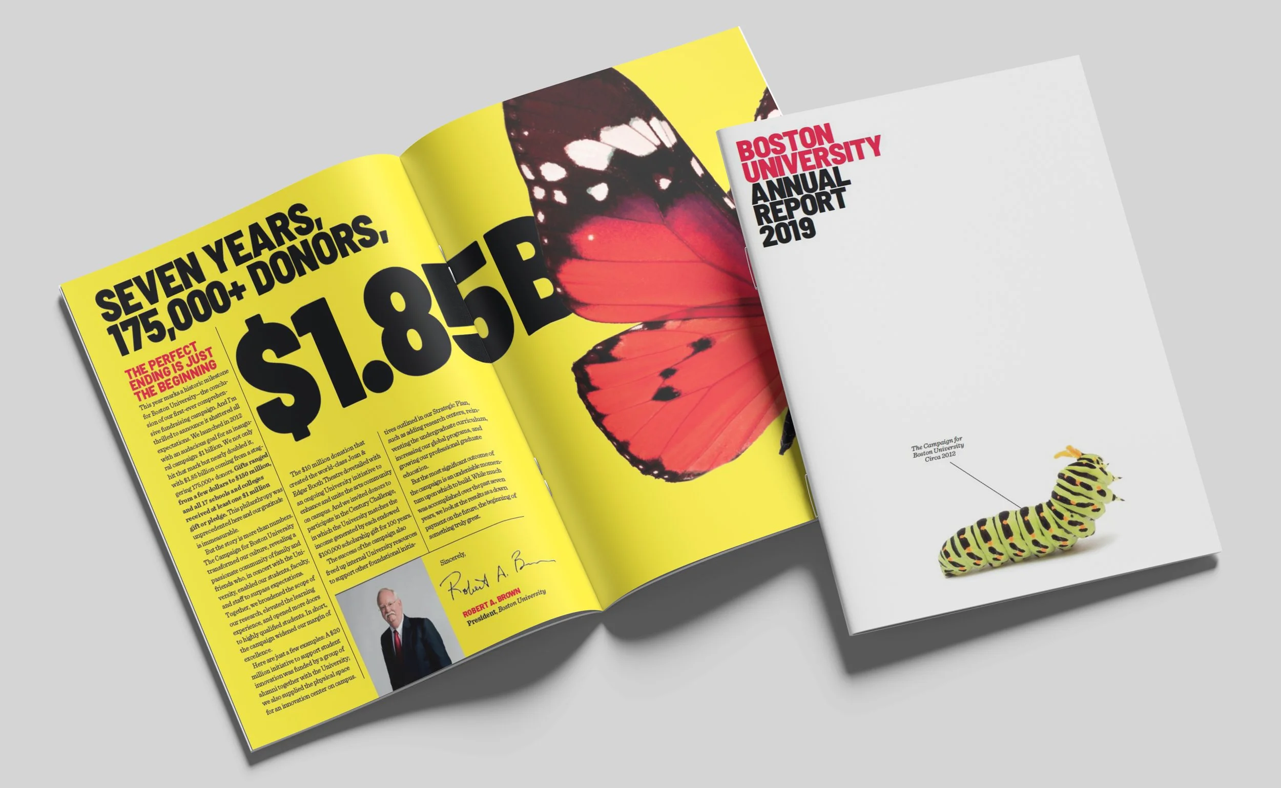 cover and inside spread of annual report
