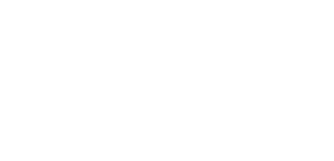 BlueSky Recreation Consulting, LLC