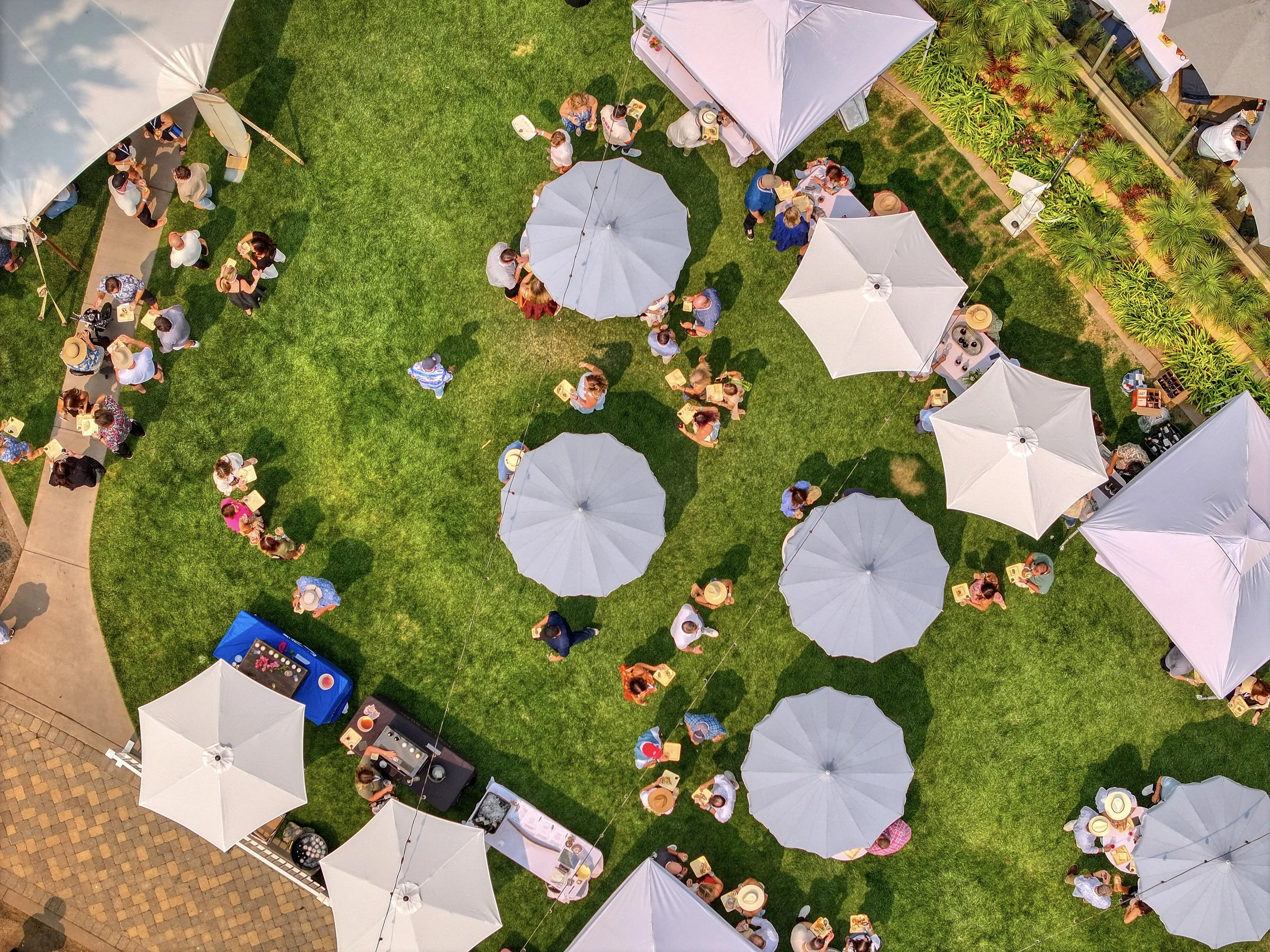 DJI_20260809175326_0197_D.jpg