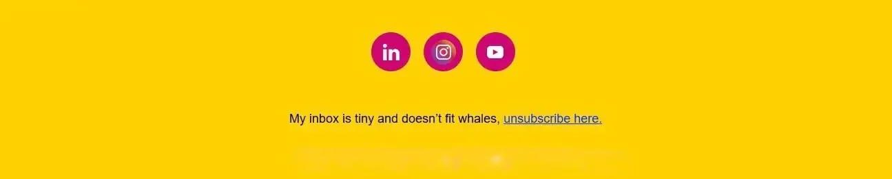 Clever newsletter footer showcasing effective copywriting