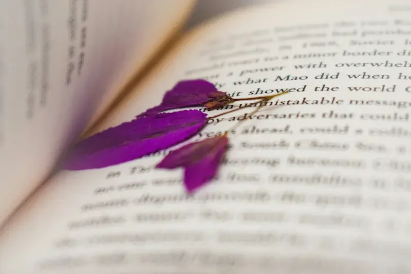 A close-up of an open book with a purple pressed bougainvillea flower placed between the pages.