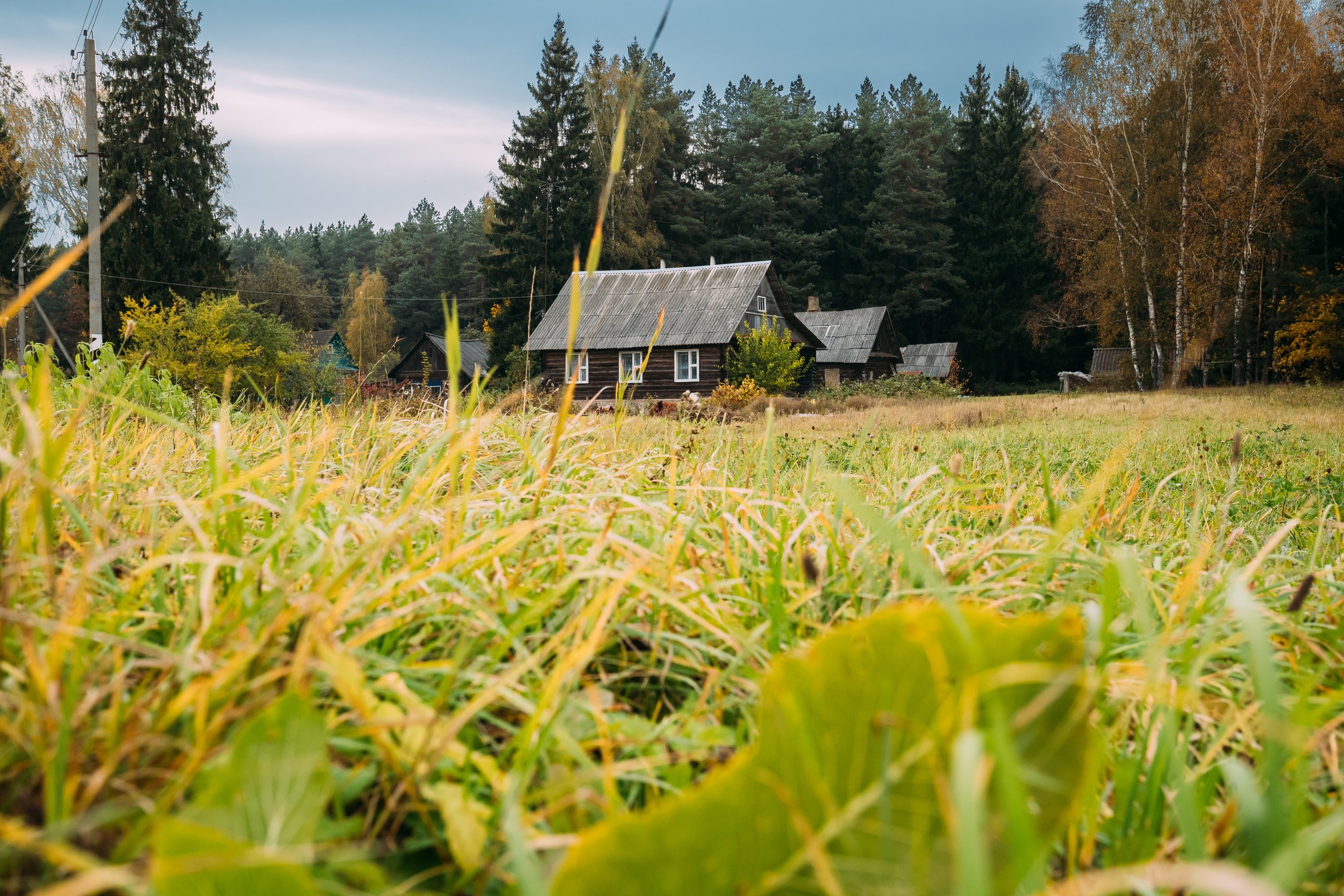 Grassroots Democracy &amp; Land Freedom
