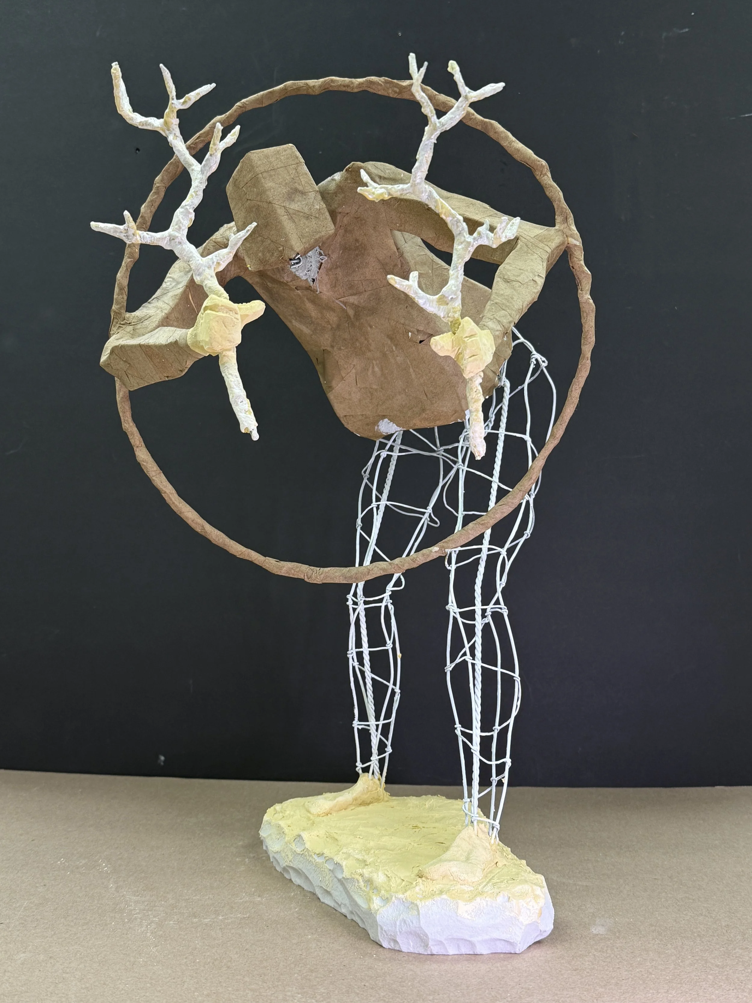 The final form begins to appear as the surface over the wire armature defines the planes of the form.