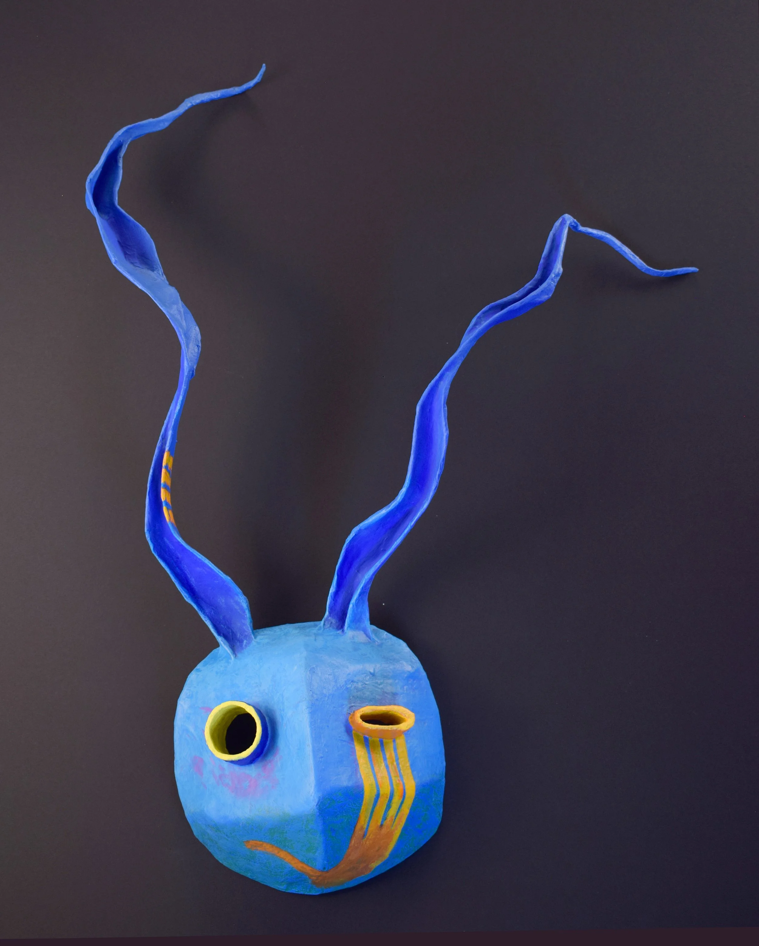 Masks amplify or disguise qualities of the wearer