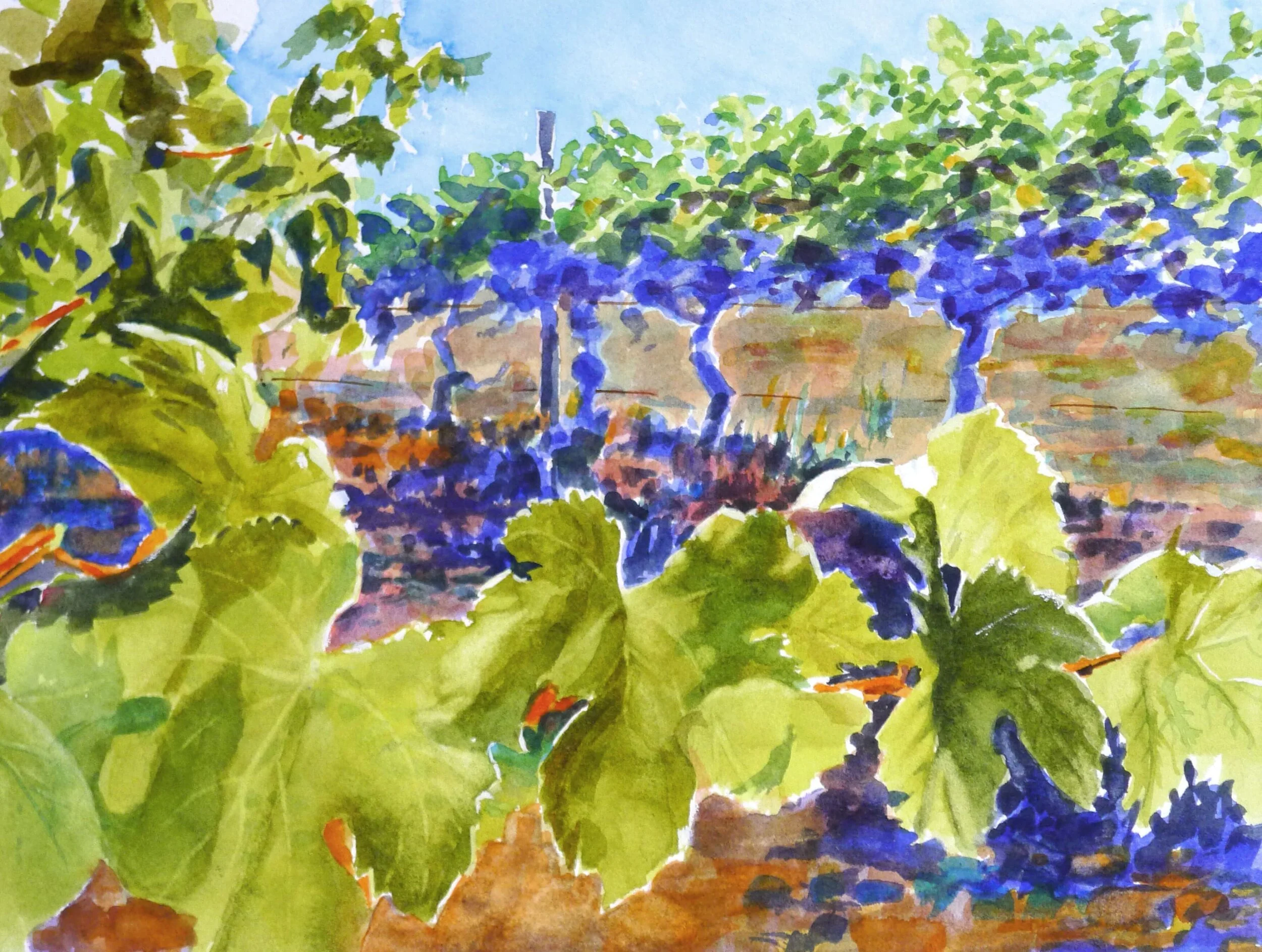 grape-leaves.jpg