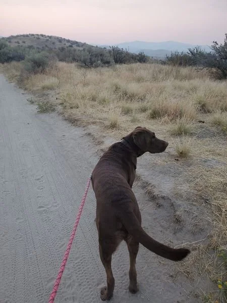 Private Walks