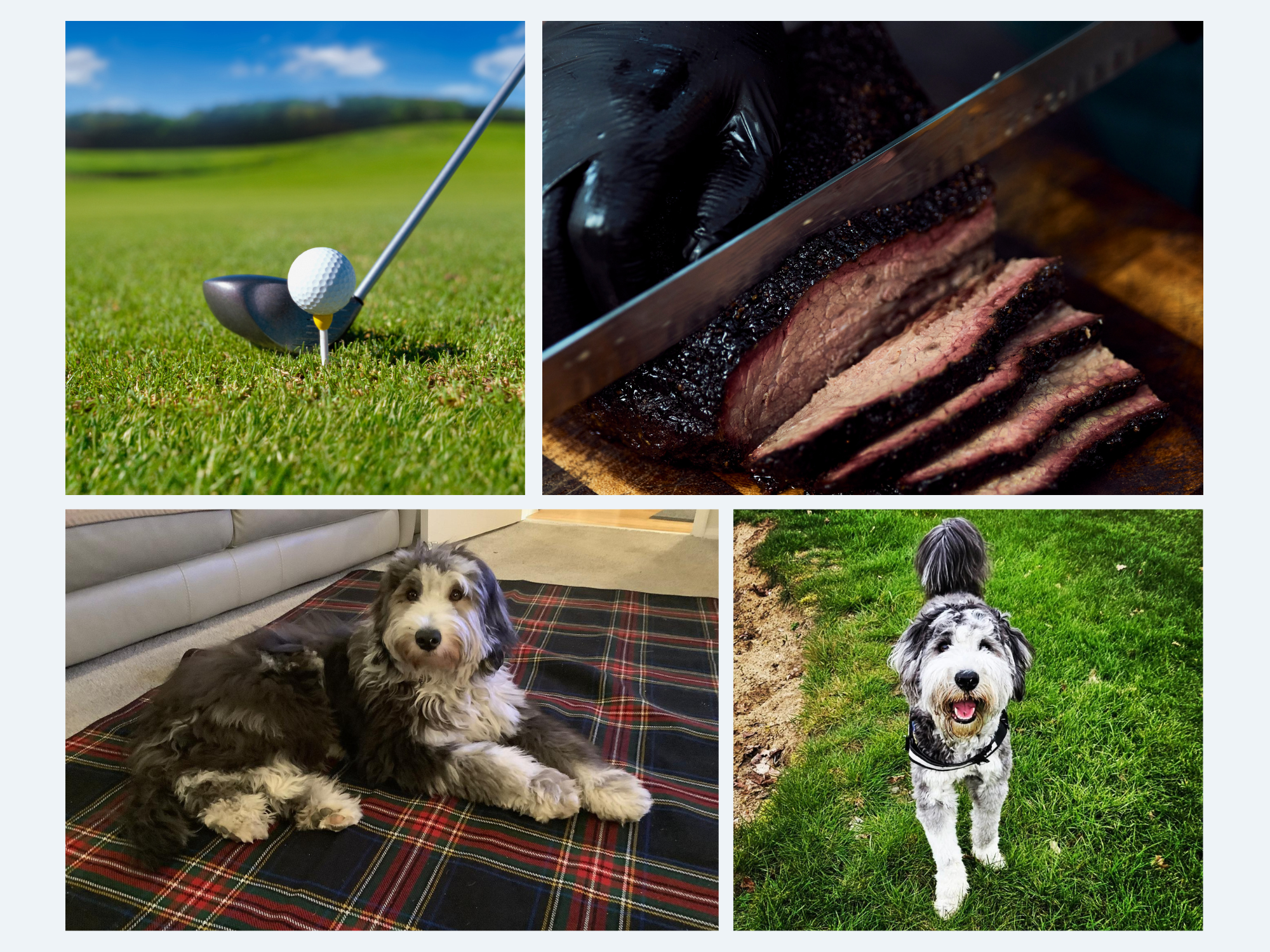 Personal collage showing a dog, barbecue food and golf interests outside of work.