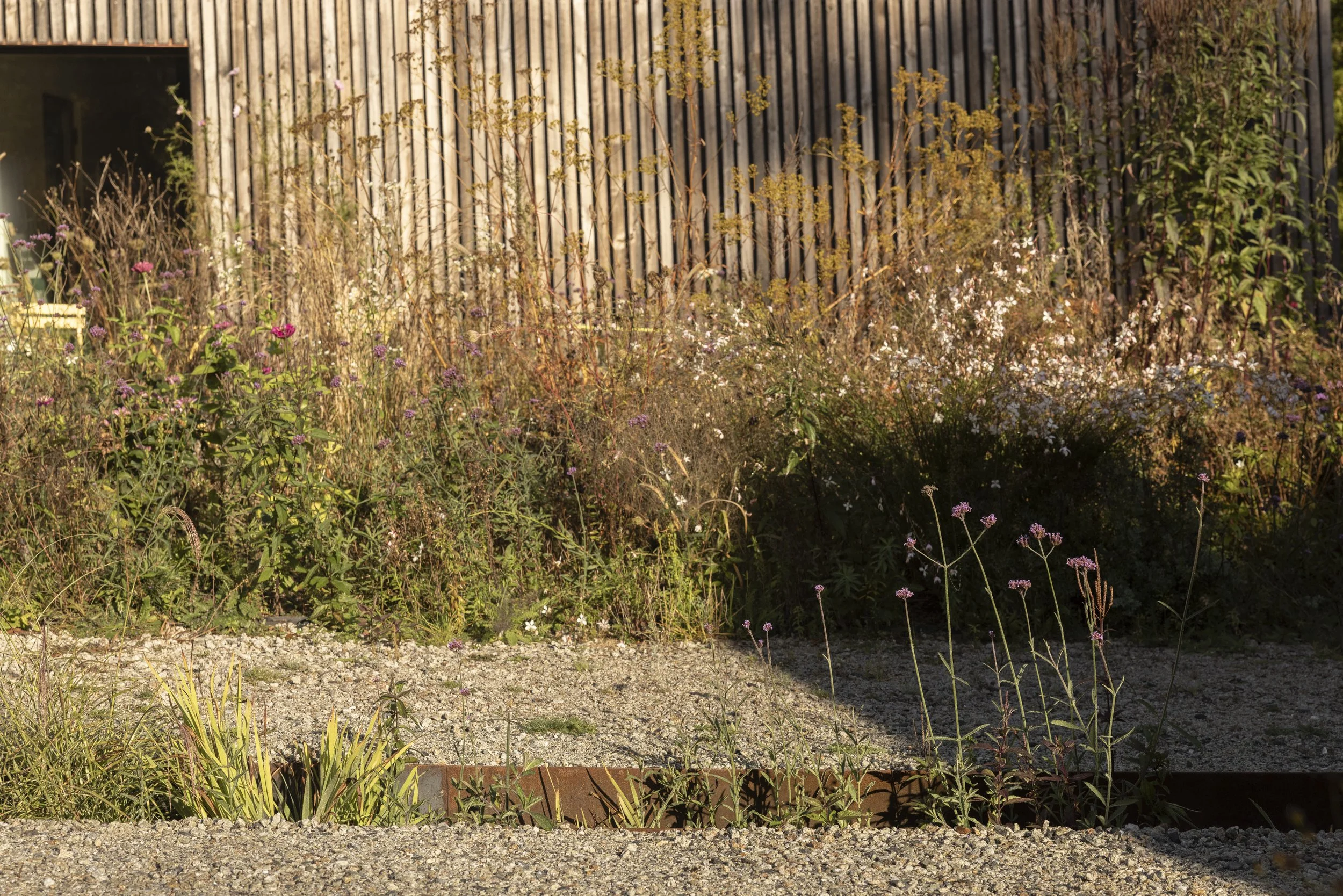 GRybus_OPAL_Stimson_HR-10-6539.jpg