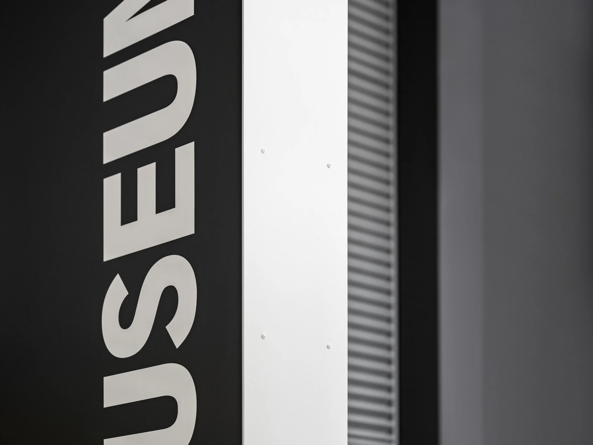 WEB_DSF8125-Edit.jpg
