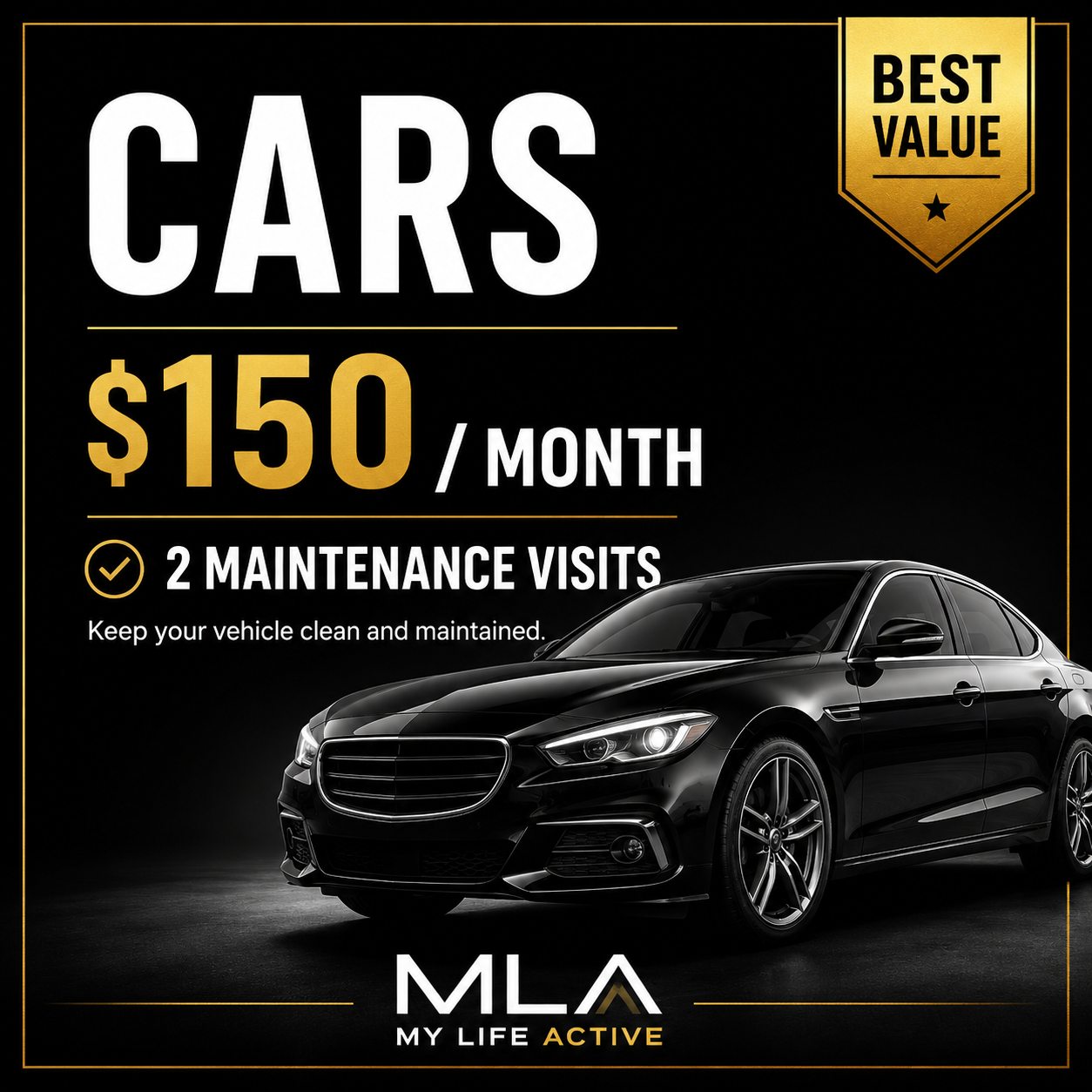 “Cars” $150 a Month (2 Maintenance visits)
